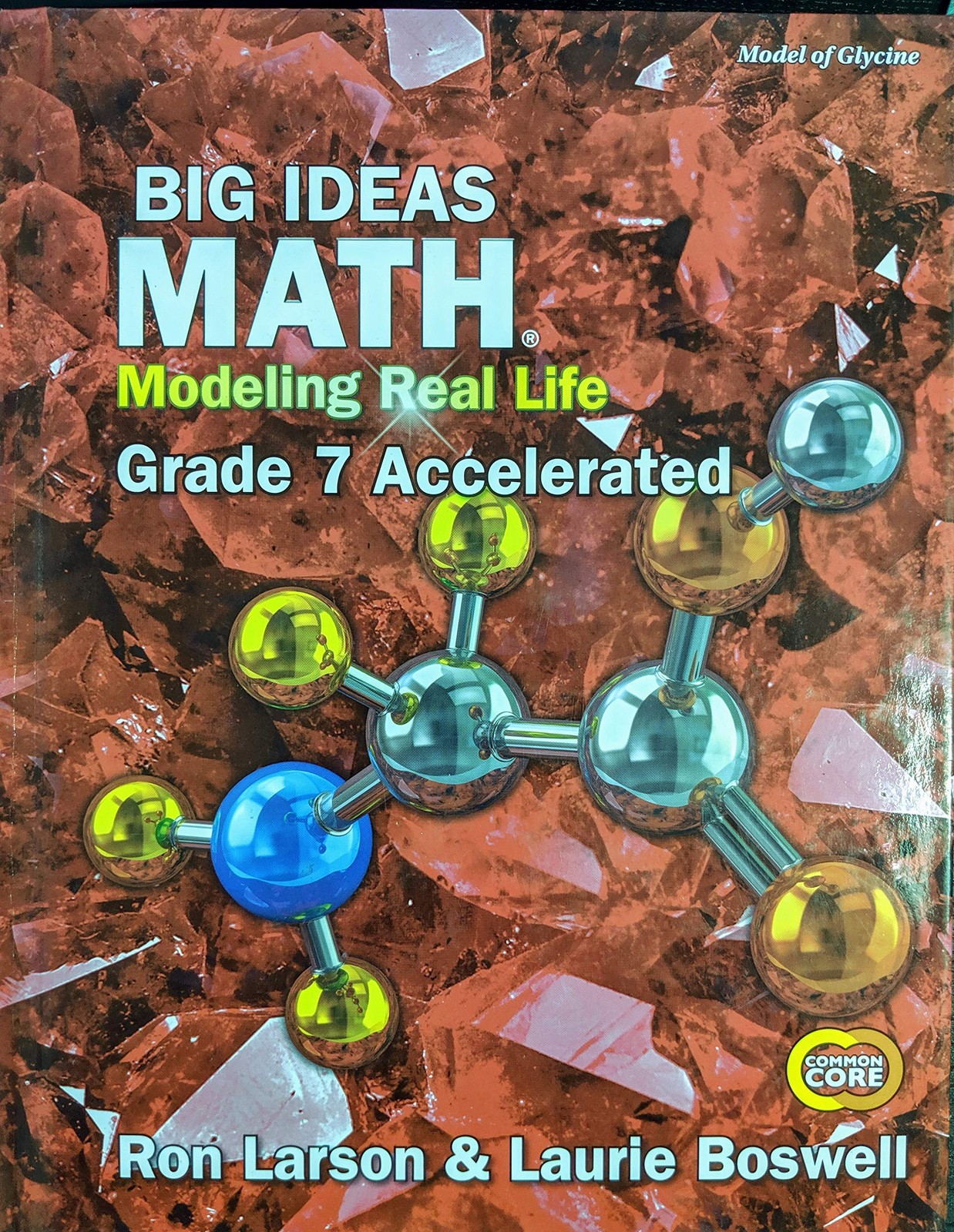 Big Ideas Math: Modeling Real Life Common Core – Grade 7 Accelerated Student…