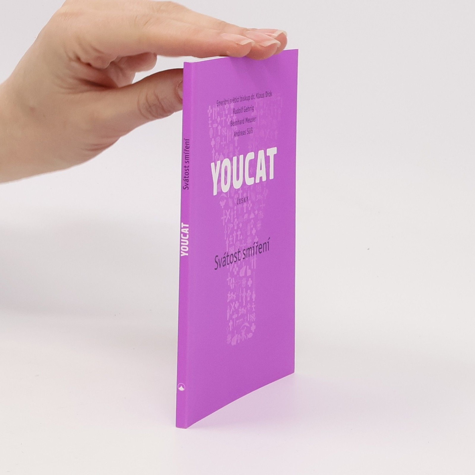 YOUCAT: Česky : svátost smíření : „provádím aktualizaci!, zpovídám se!“