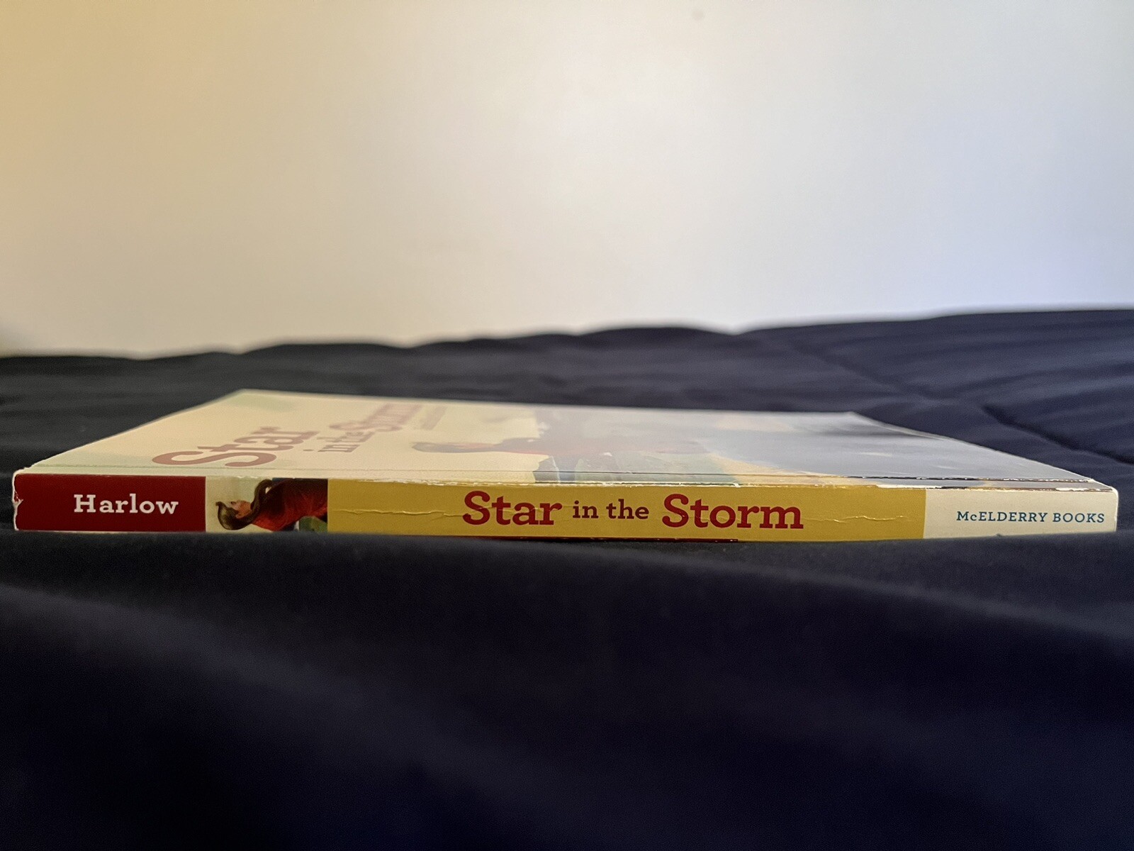 Star in the Storm, Paperback, 144 pages, Dimensions 5.5 x 0.6 x 8.25 inches