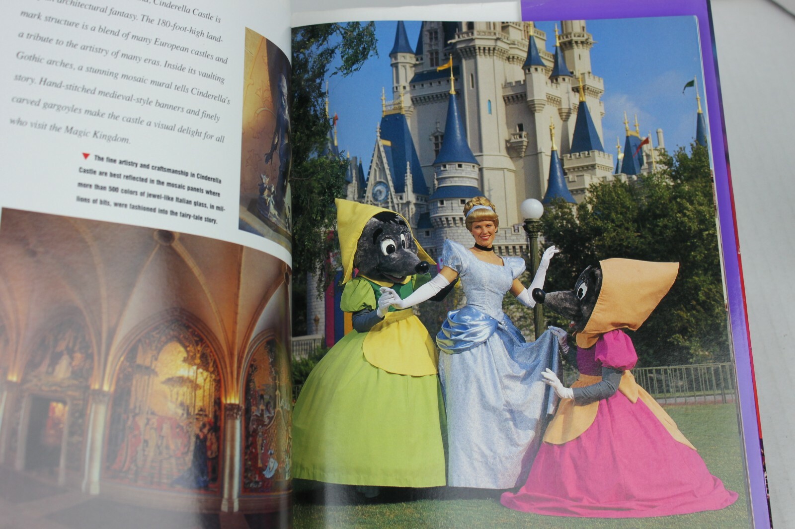 Walt Disney World Disney Kingdom Editions Purple Hardcover Book with Dust Jacket