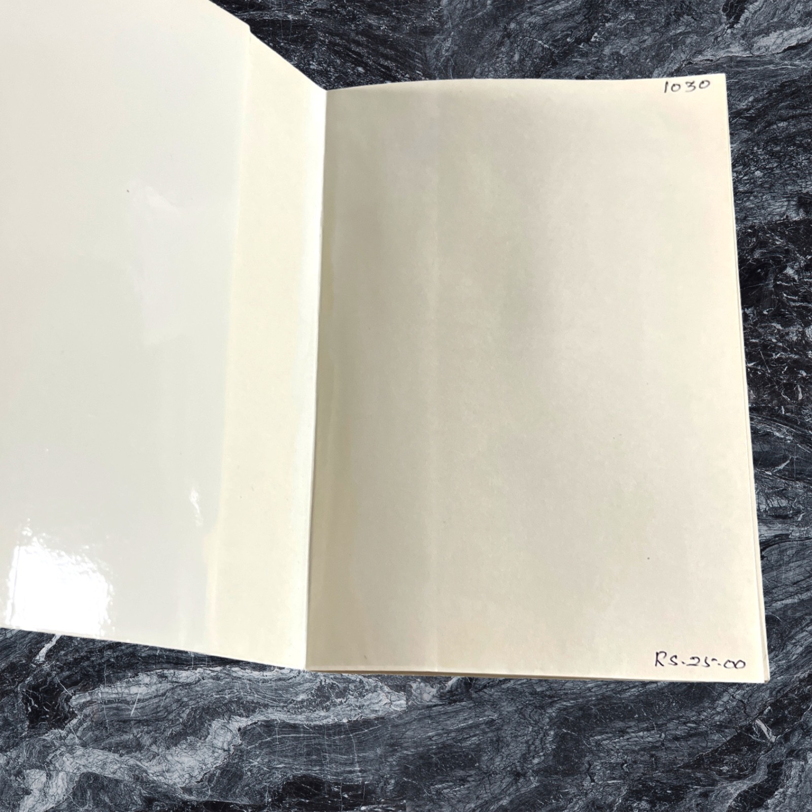 My Life at Sri Ramanasramam (1993) Suri Nagamma PB VG Ramana Maharshi India