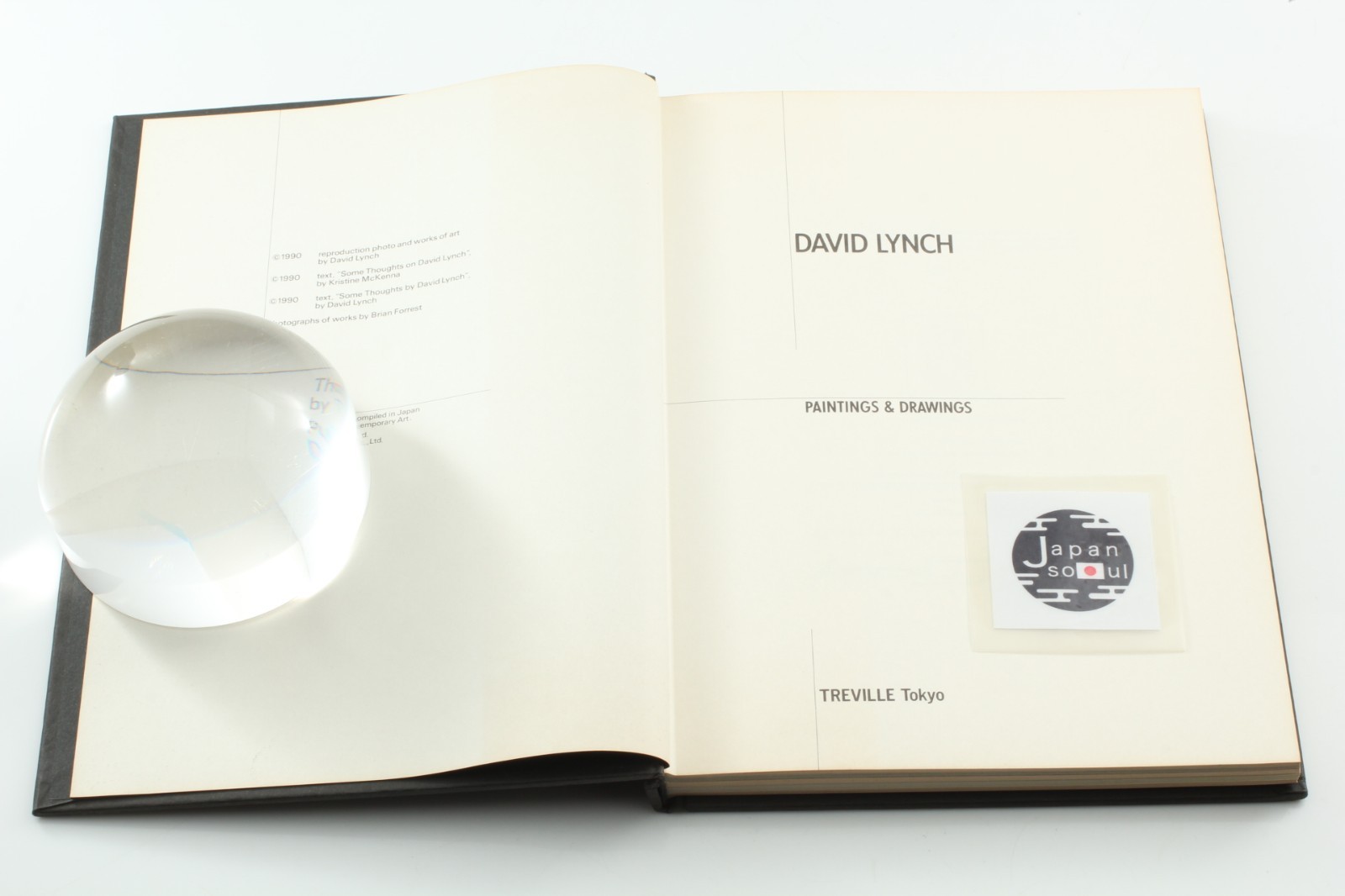 David Lynch PAINTING&DRAWINGS Japanese Book Treville 1991 From JAPAN
