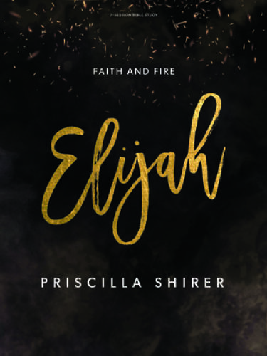 Elijah – Bible Study Book: Faith and Fire – Paperback – GOOD