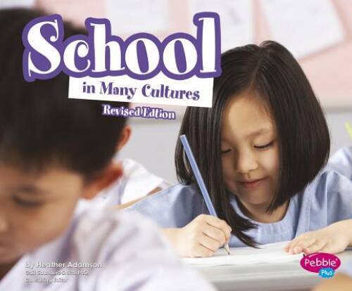 School in Many Cultures (Life Around the World) – Paperback – GOOD