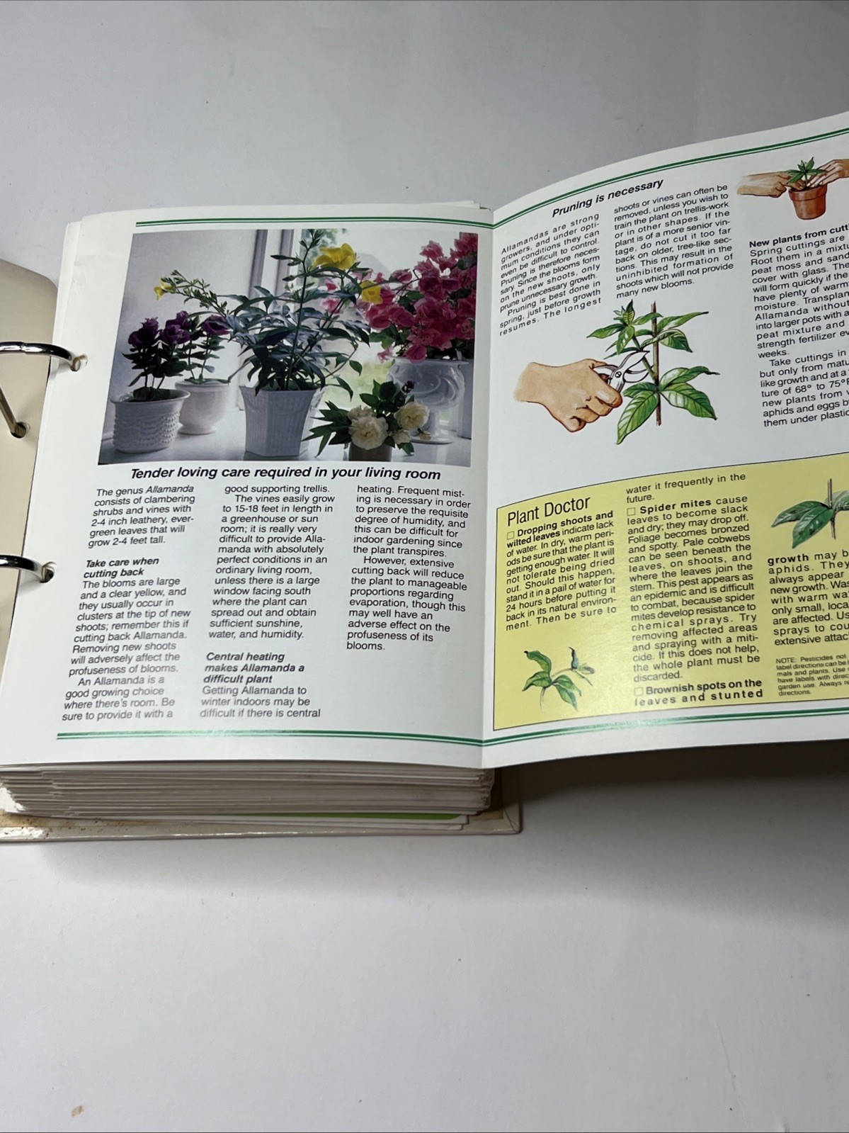 Vintage 1985 Success With House Plants Gardening Hardcover Spiral Binder Book