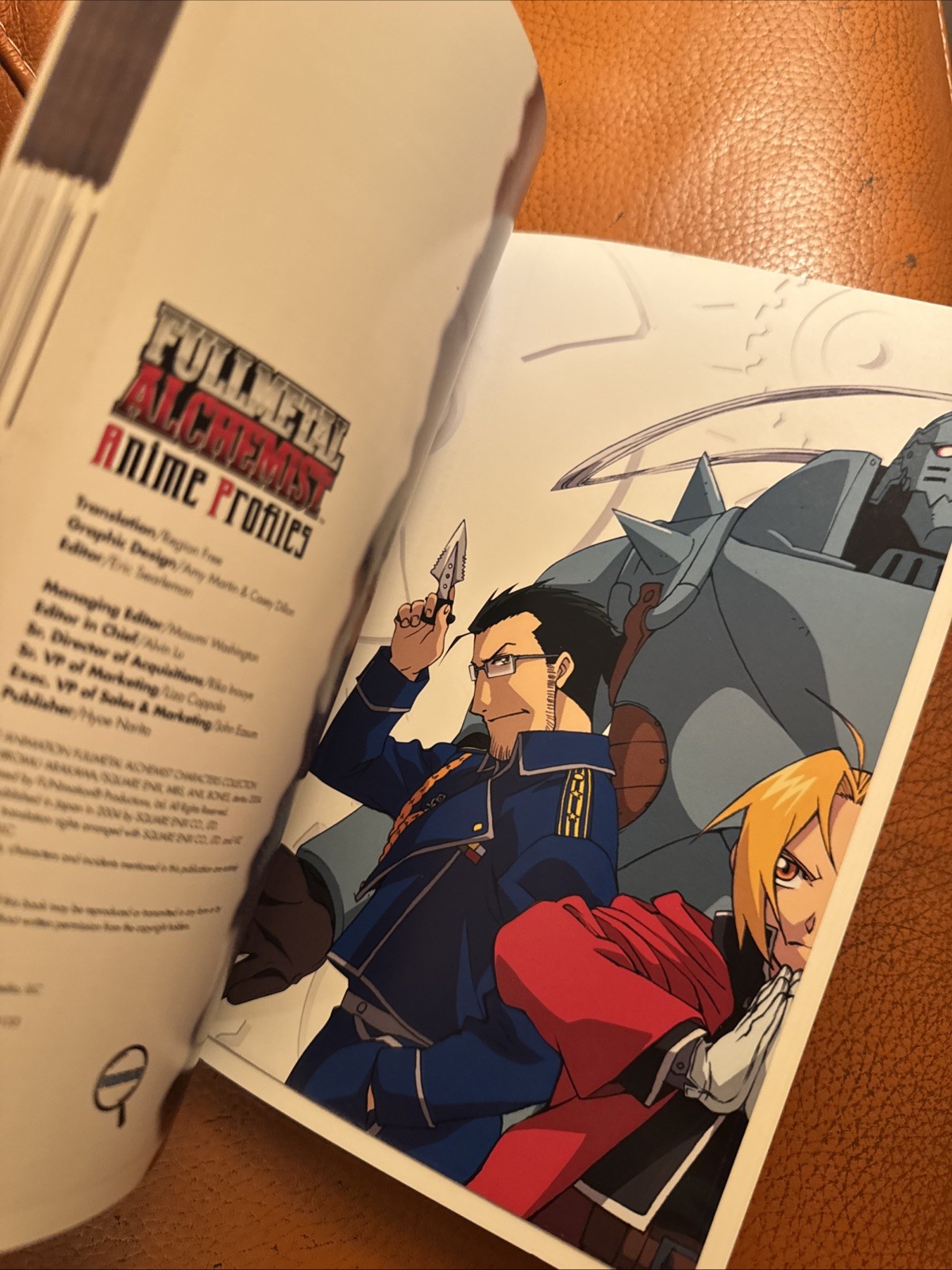 Fullmetal Alchemist Anime Profiles 2004, Viz Media, LIKE NEW Illustrated POSTER