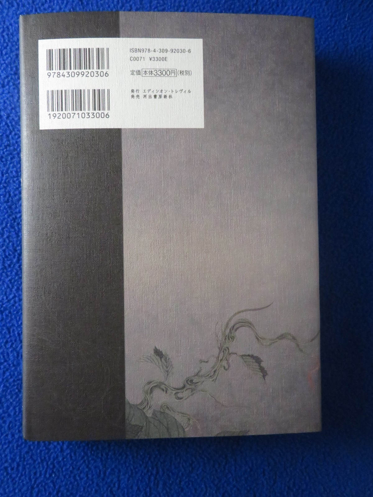 GLASS LABYRINTH HARDCOVER TREVILLE PAN EXOTICA 2021 SIGNED