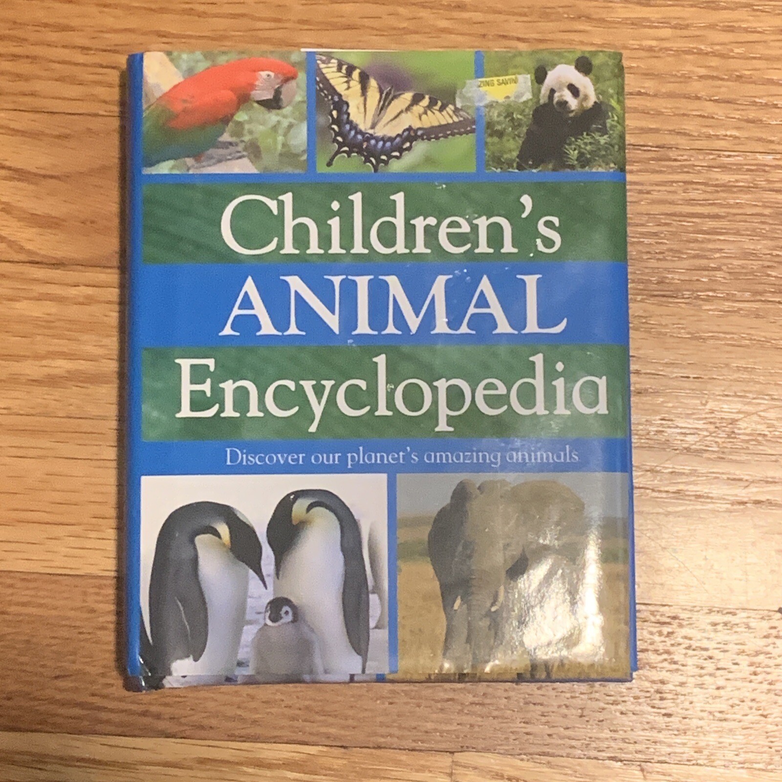 Mini Children’s Reference Ser.: My First Animal Encyclopedia (2008, Hardcover)