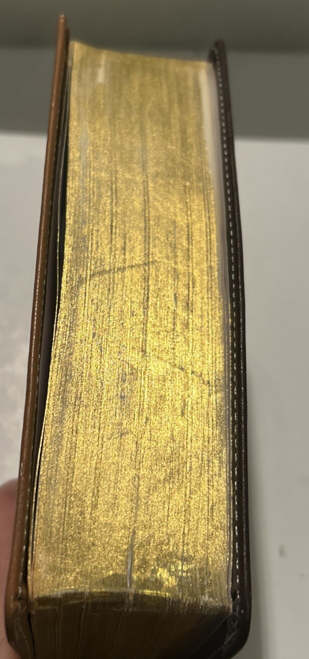 Compact Tamil Holy Bible & Hymnary – India – Leather Bound, Illustrated