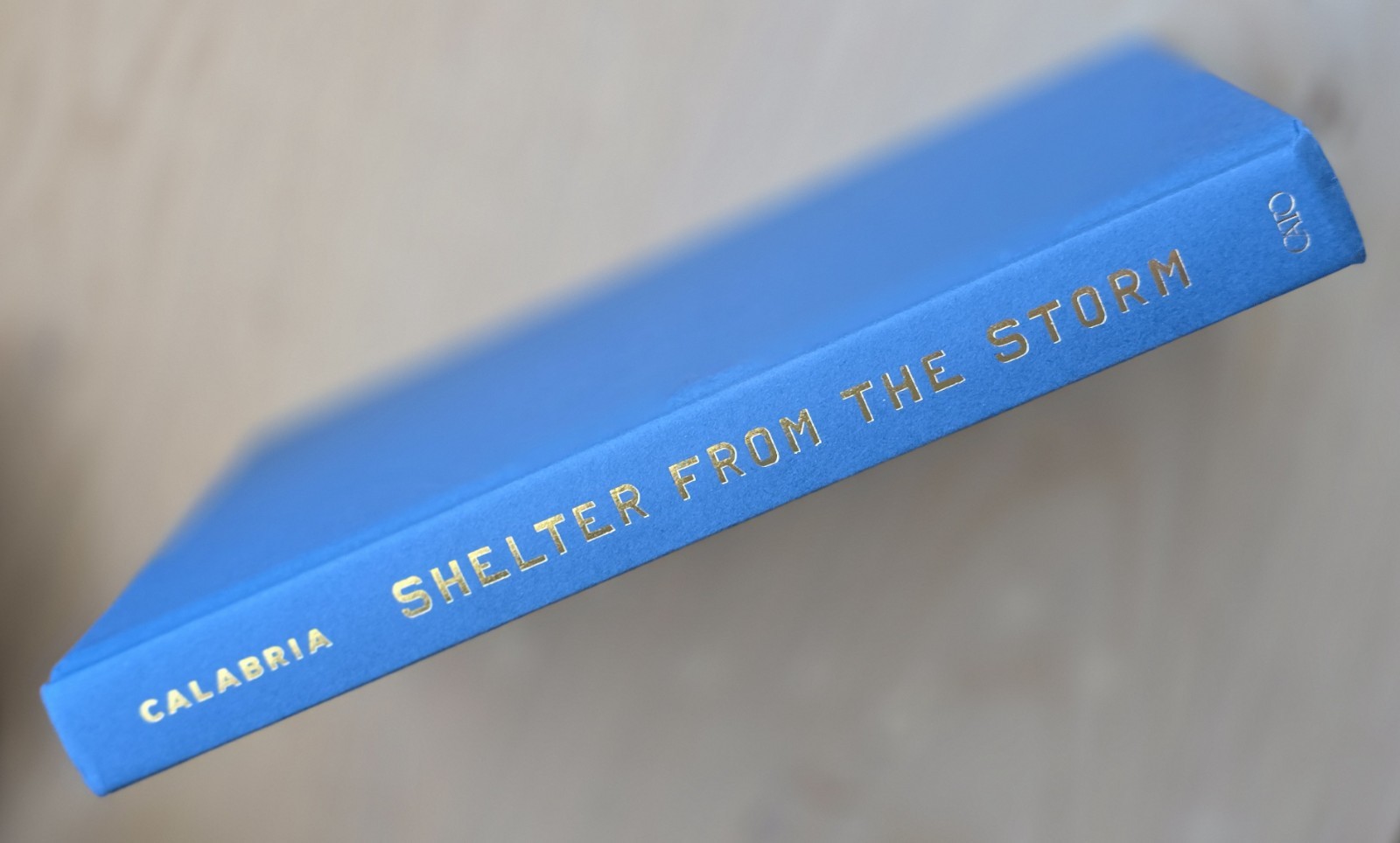 Mark Calabria Shelter from the Storm (Hardback)