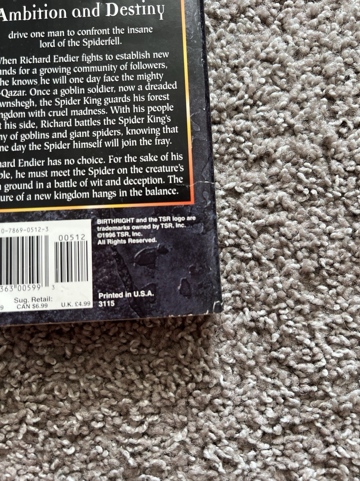 The Spider’s Test by Dixie Lee McKeone (TSR, 1996) First Vintage Fantasy MMPB