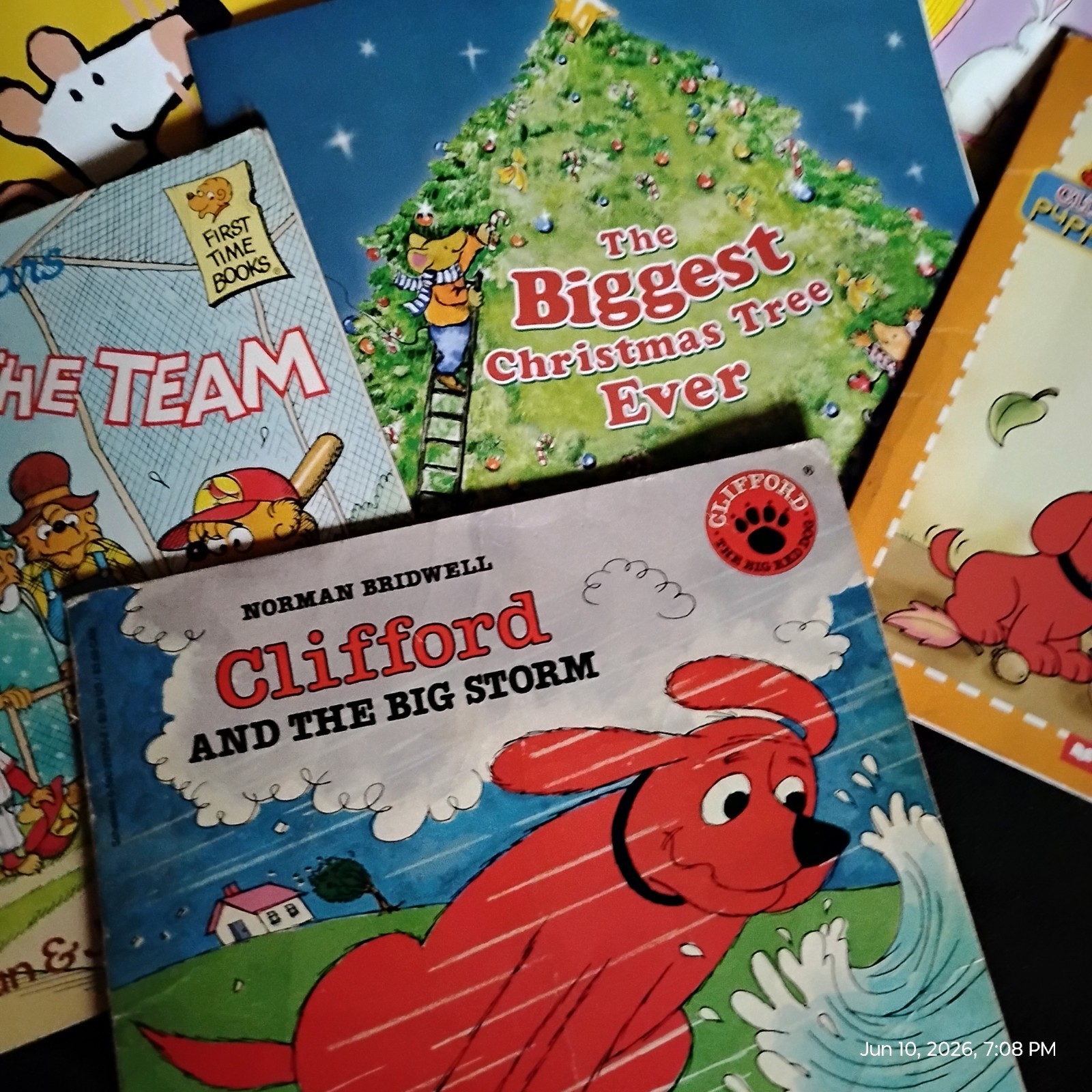 Lot of 8 Children’s Picture Books (Berenstiain Bears, Clifford,etc)