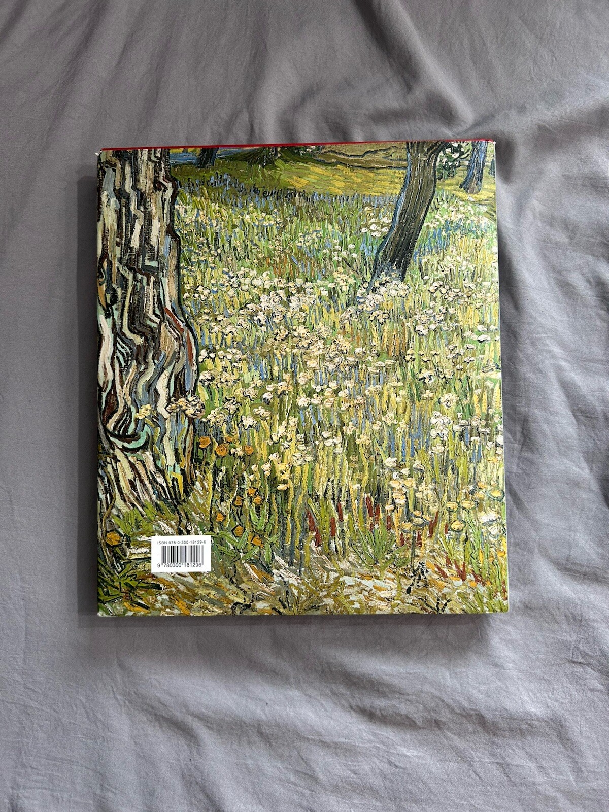 Van Gogh: Up Close Hardcover
