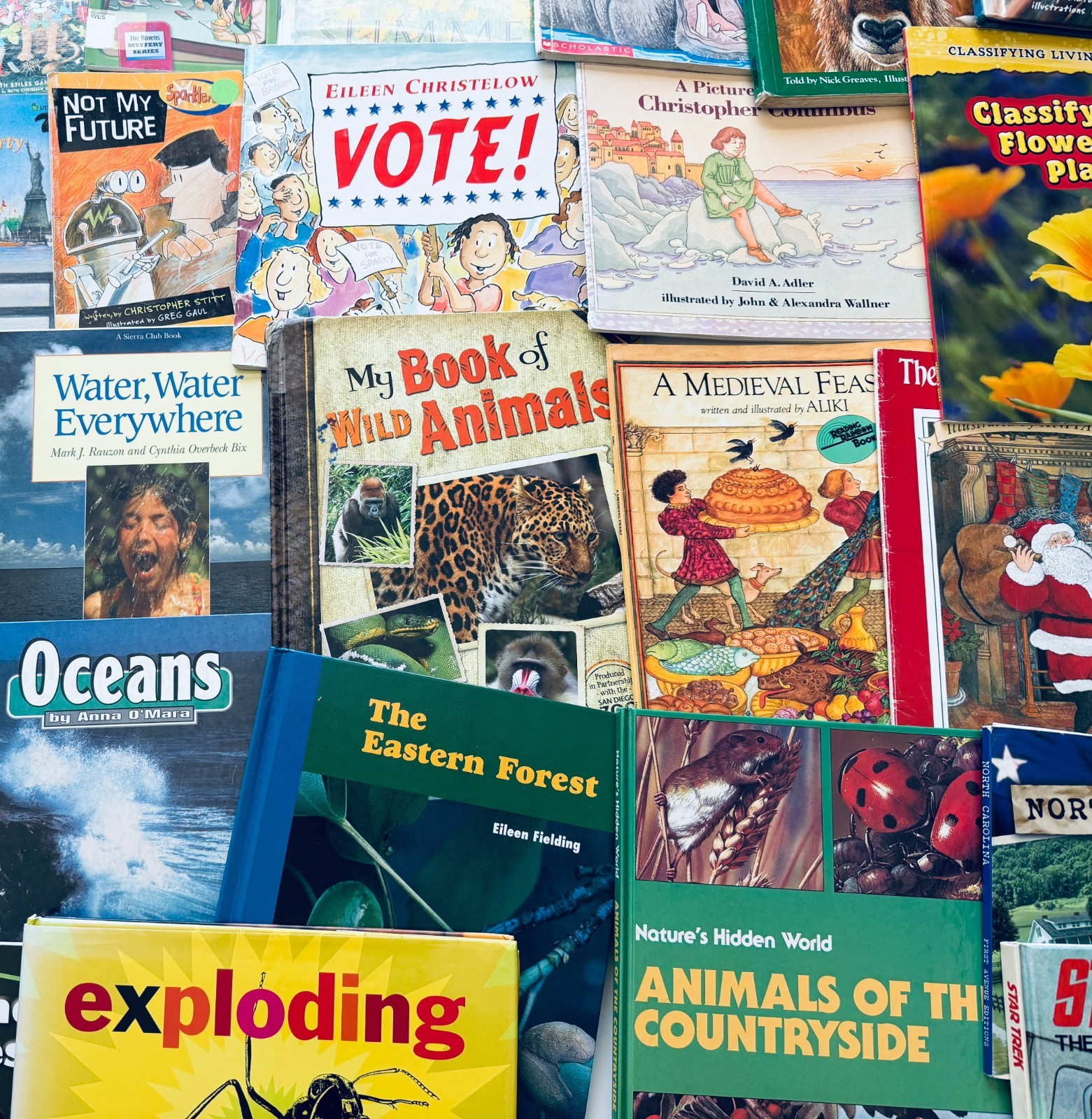 Lot of 10 Random Children’s Books, Grades 2-3, Homeschool Library/Teacher Librar