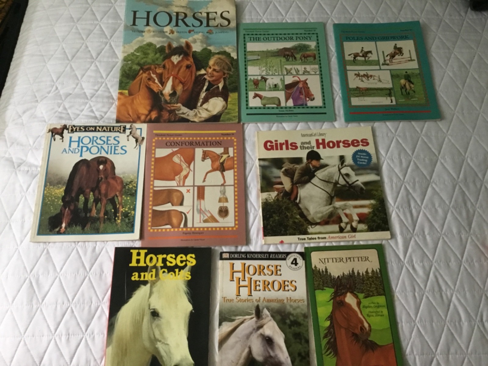Lot of 9 Horse Books Equine Riding Training Polo Equestrian Care Health Color
