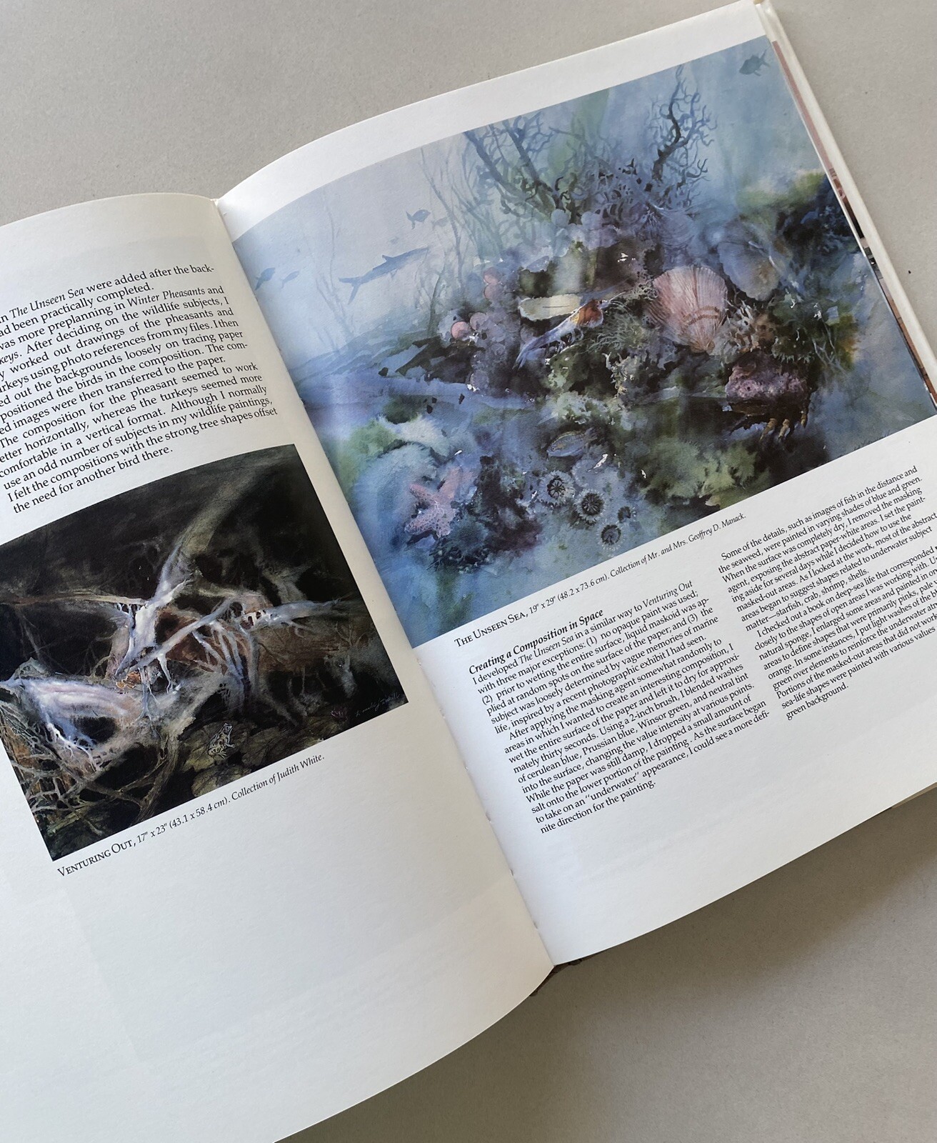 The Transparent Touch – Watercolor Interpretations by Donald Dodrill (1989 HCDJ)