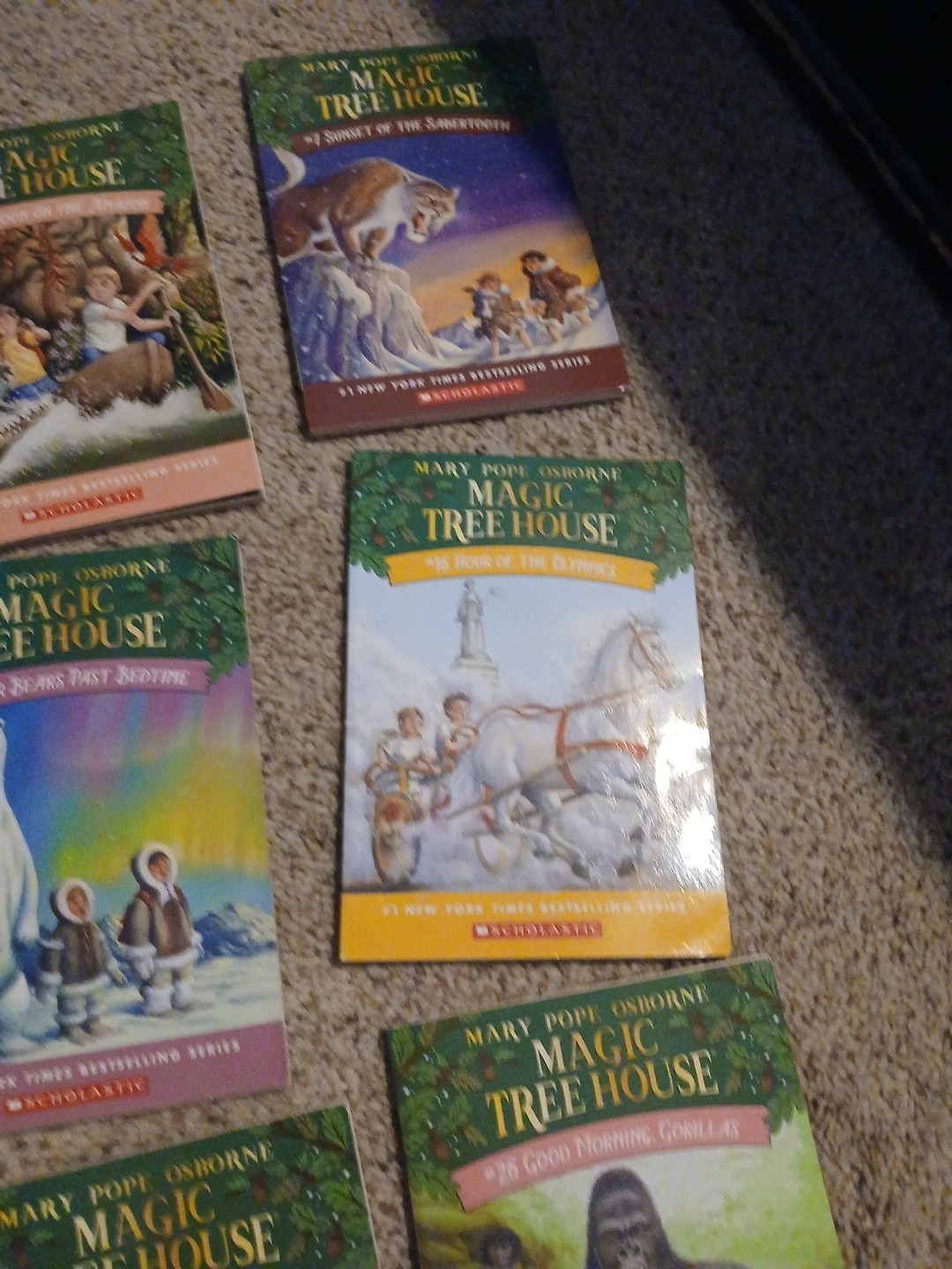 Lot of 17 Magic Tree House Books Mary Pope Osborne Childrens