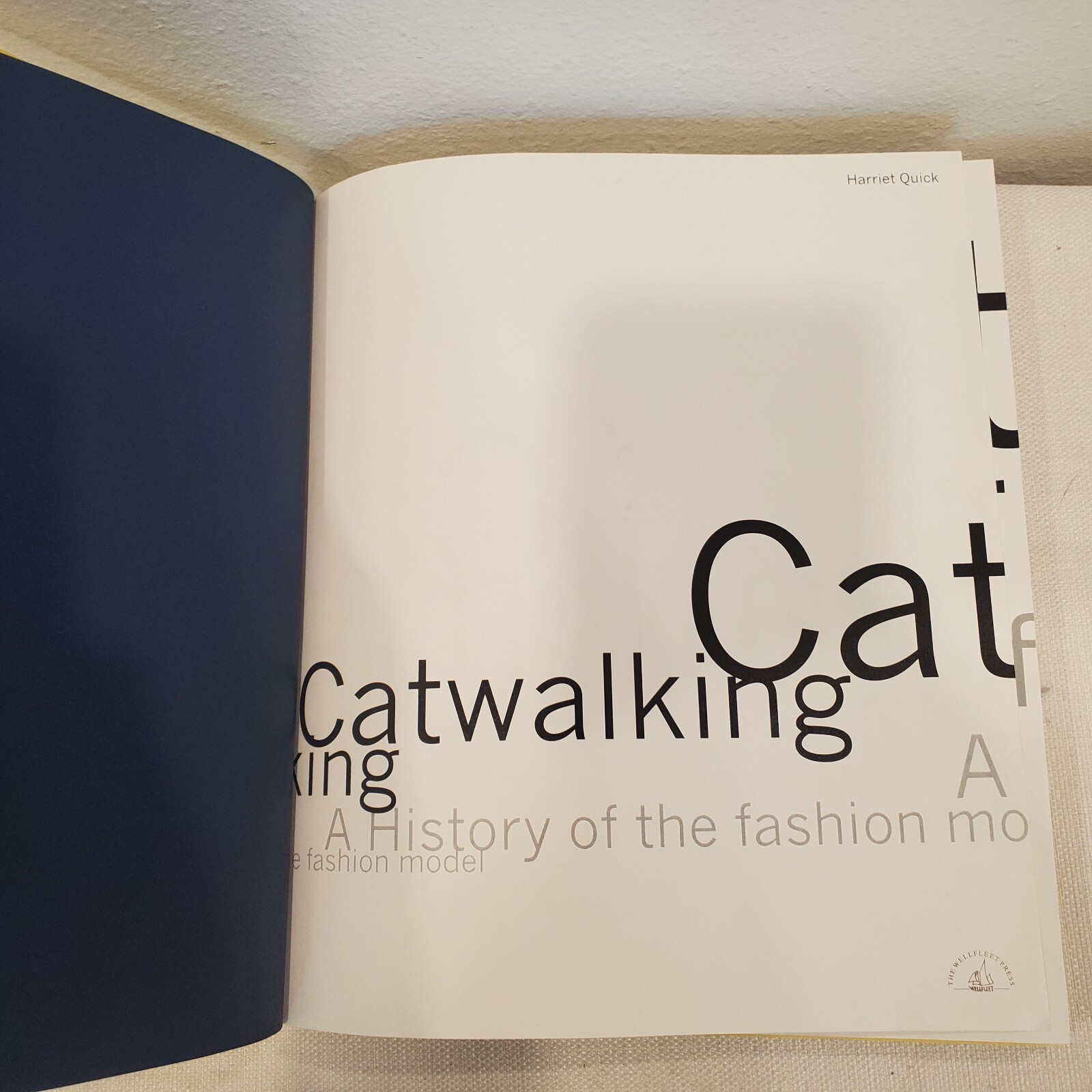 Catwalking A History of the Fashion Model Hardcover Quick Harriet No Dust Cover