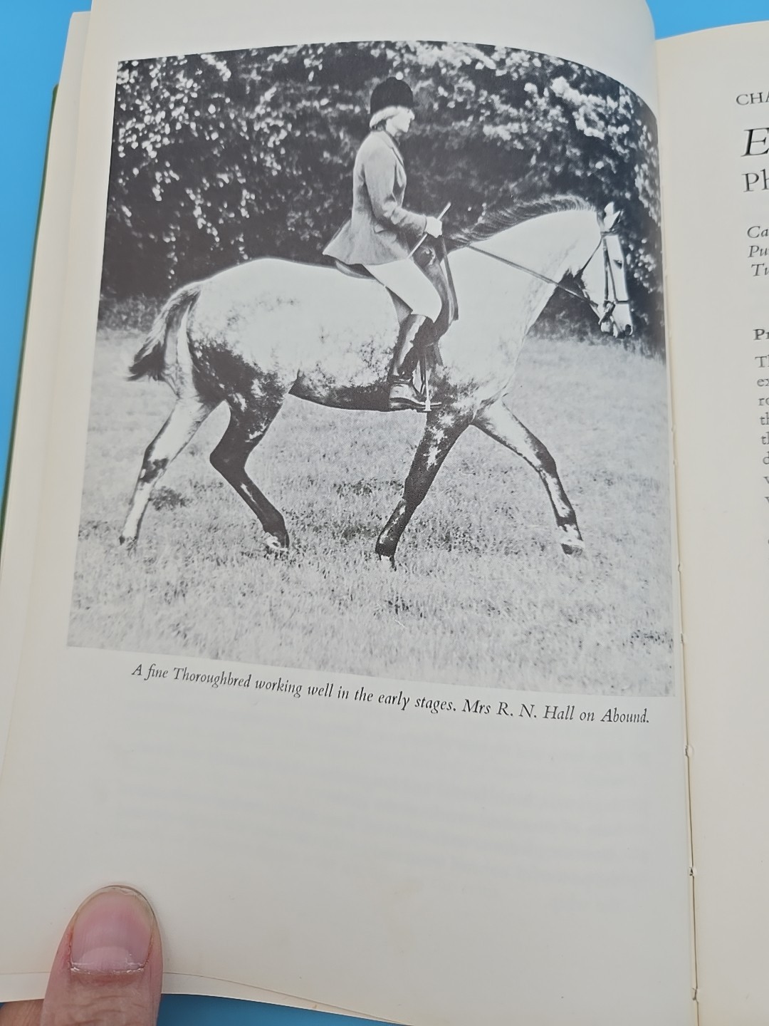 Training the Young Horse The First Two Years 1979 Anthony Crossley Equestrian