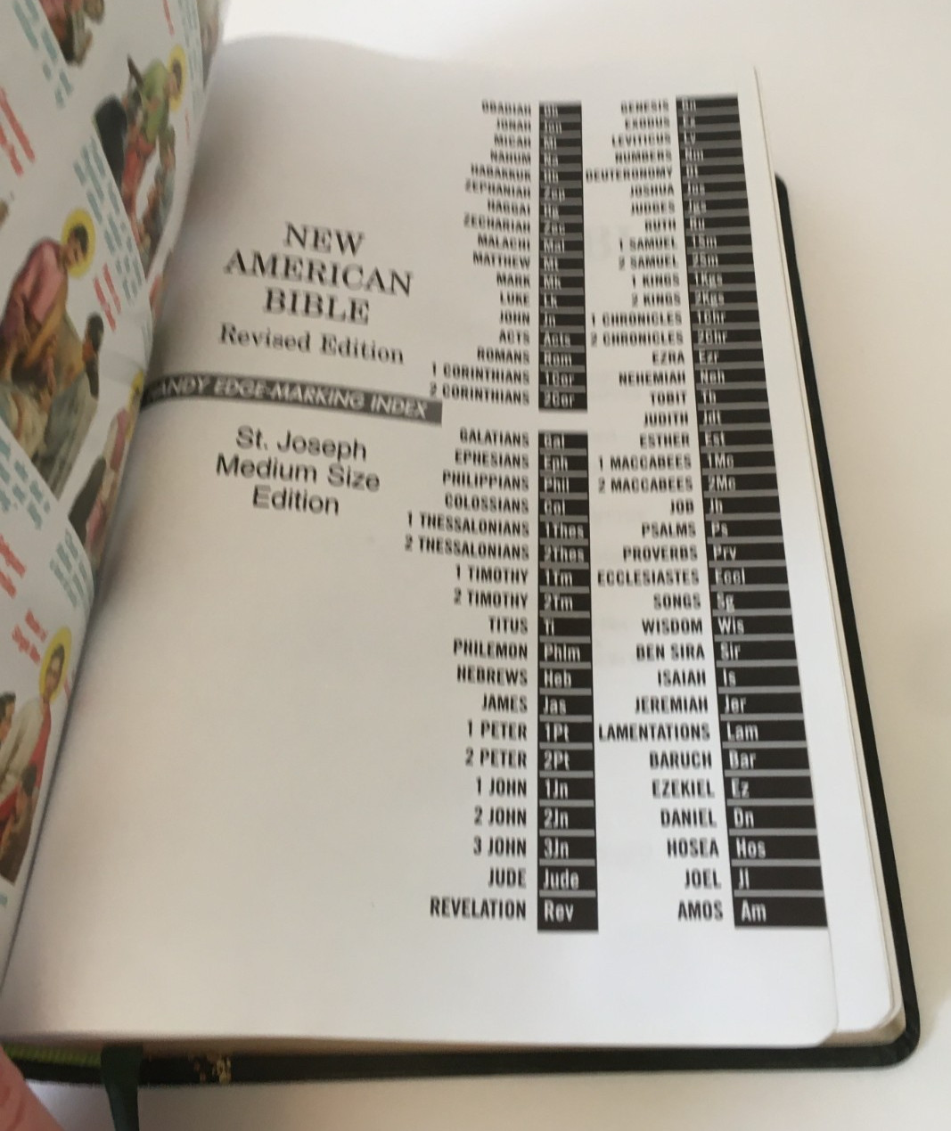 St. Joseph Edition Of The New American Bible Revised 2011 Book Green