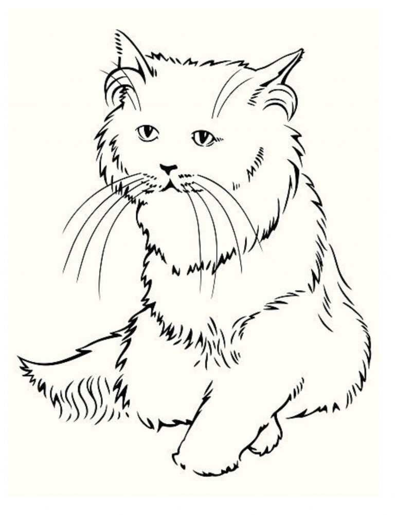 Kittens for Kids Coloring Book: Family Pet Serie 108 Pages 8.5 x 11 for All Ages