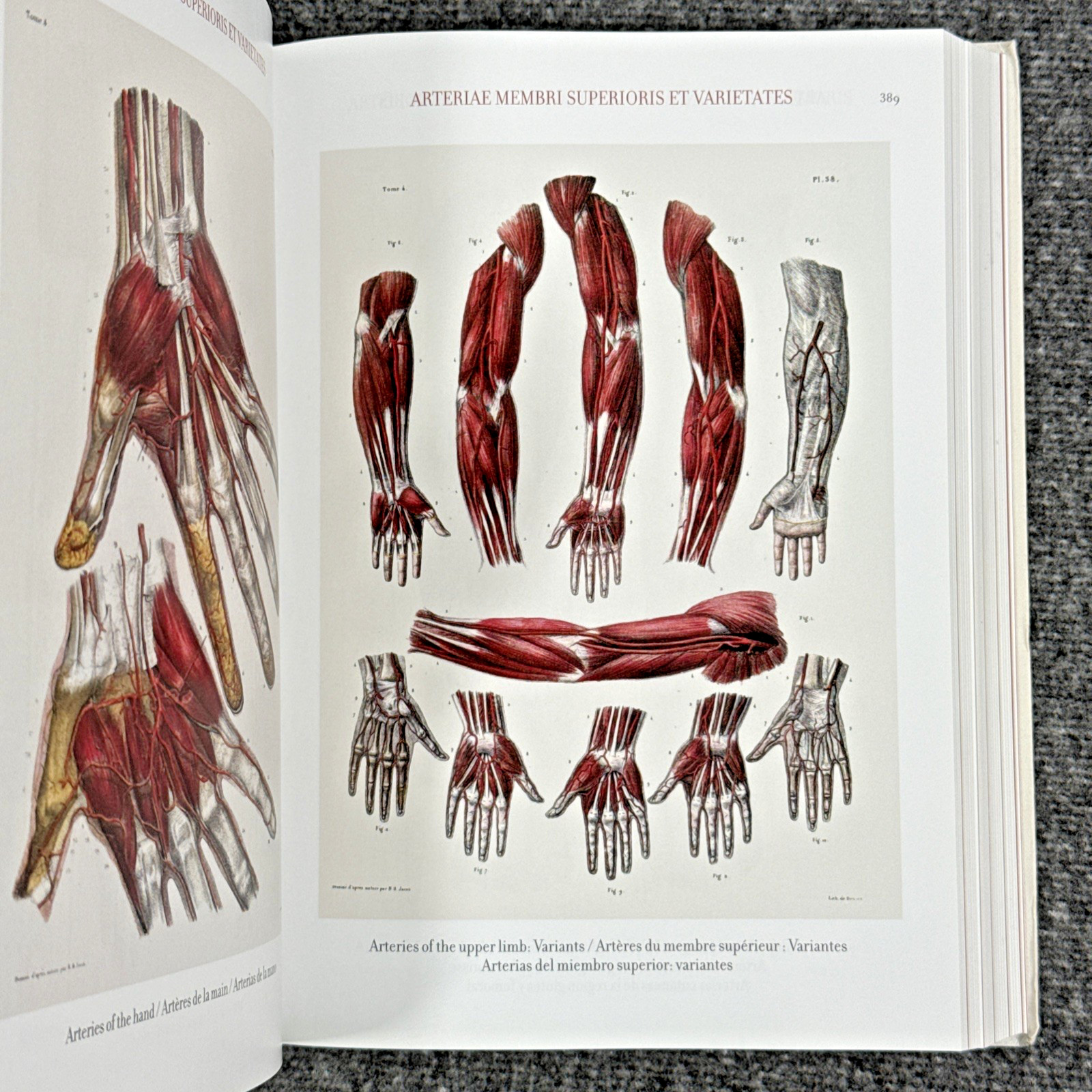 Atlas of Human Anatomy and Surgery The Complete Plates, Bourgery, Jacob, Taschen