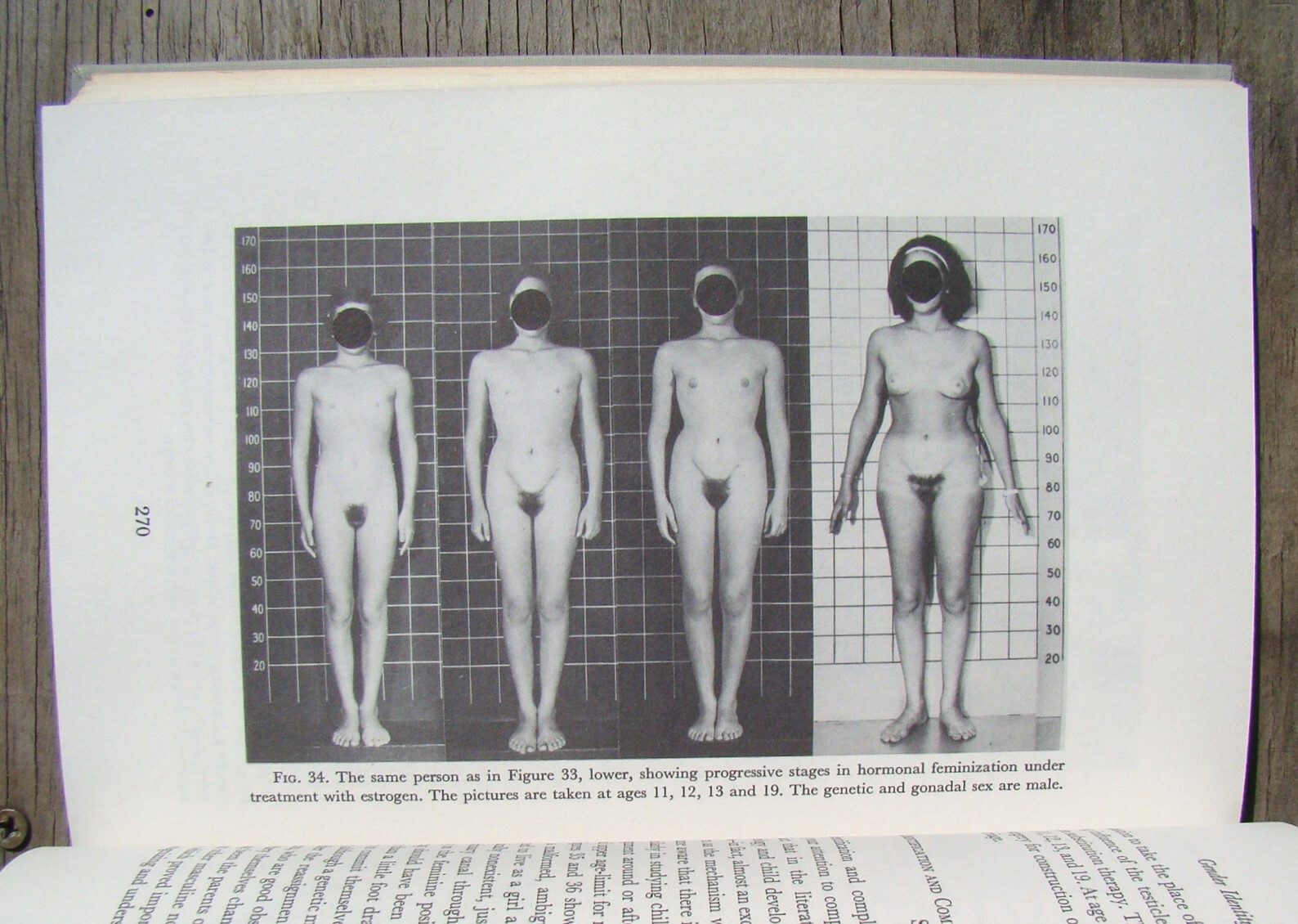 Nebraska Symposium On Motivation ~23 Vols 1953-75~ Animal Experiments Sex Gender