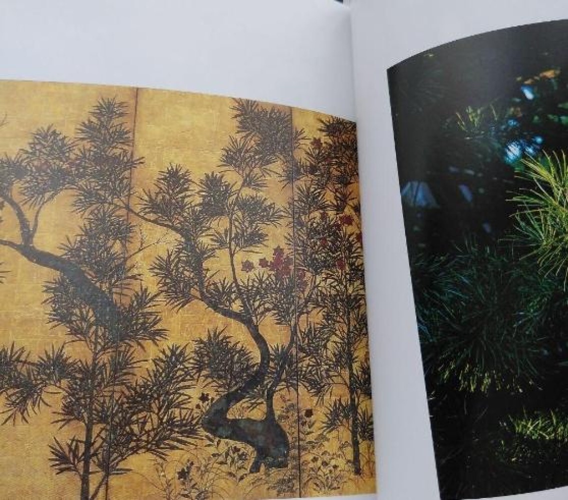 Toshiro Kawase – „God’s Tree: Go/Visit“ Japanese sacred tree art