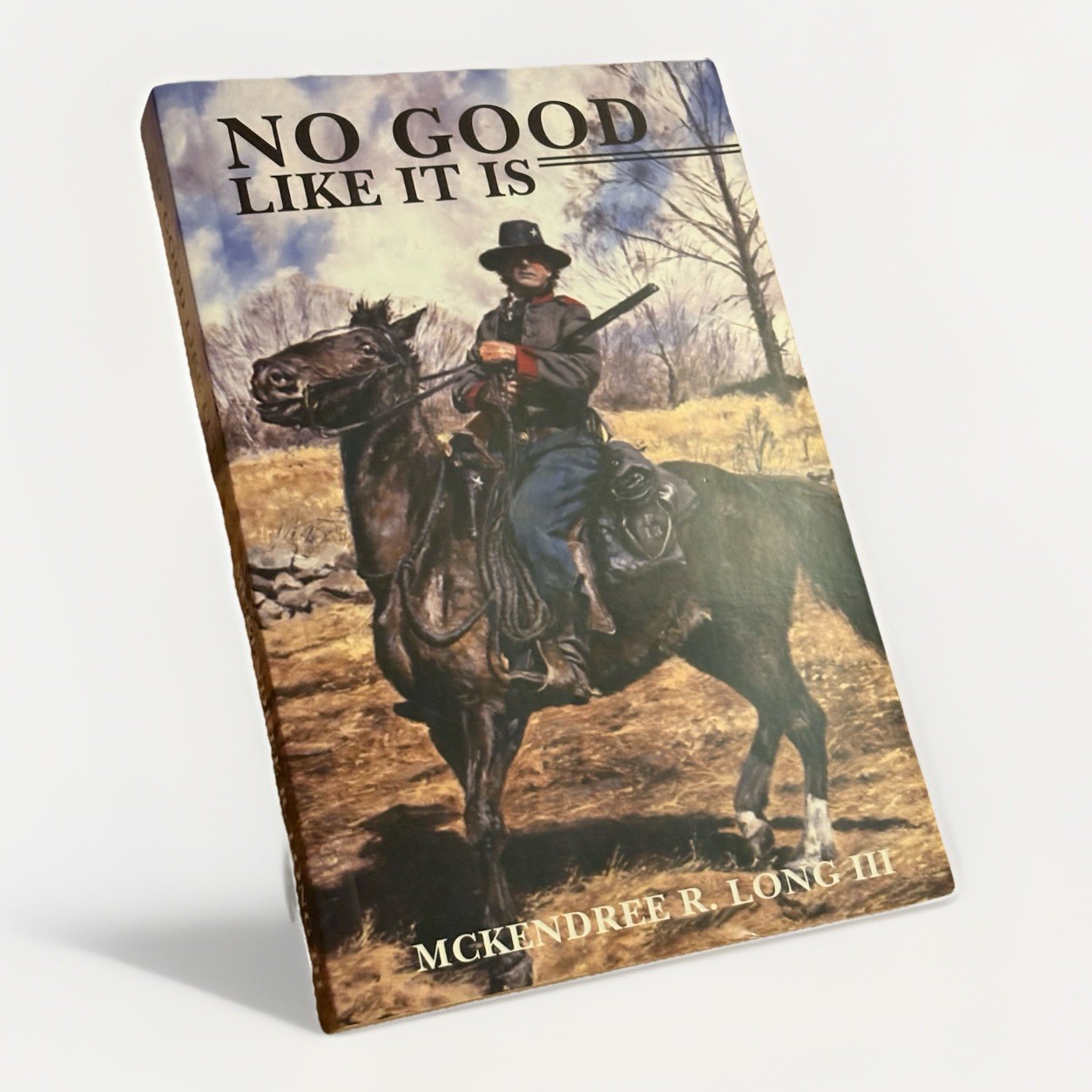 No Good Like It Is by McKendree R. Long (2010, Trade Paperback)