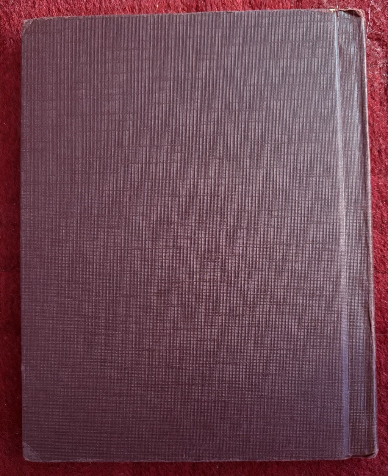 The Little Rabbit Who Wanted Red Wings by Carolyn Sherwin Bailey P&M 1961