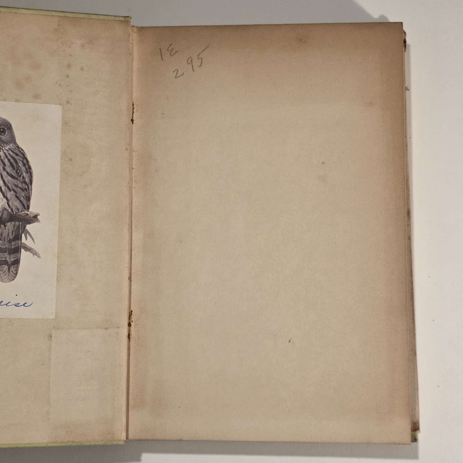 The Complete Book Of African Violets Helen Van Pelt Wilson 1952 3rd HC DJ