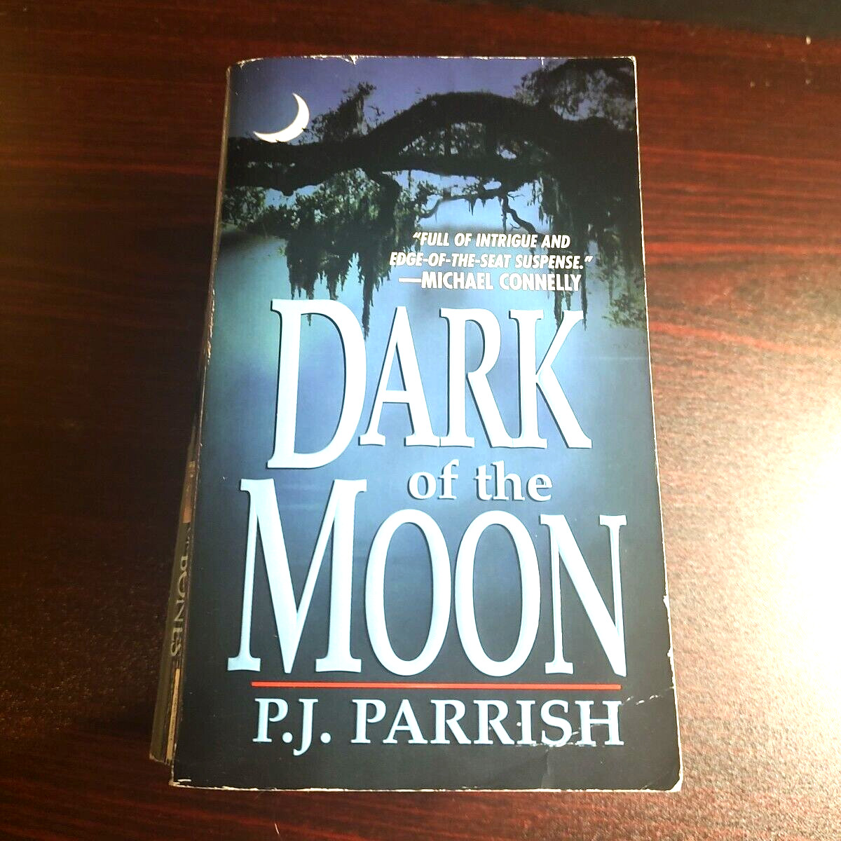 Mystery Thriller Paperback Book P J Parrish Investigation Murder Crime 3x