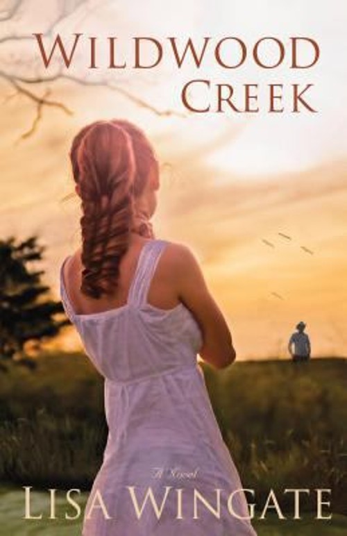 Wildwood Creek : A Novel Paperback Lisa Wingate