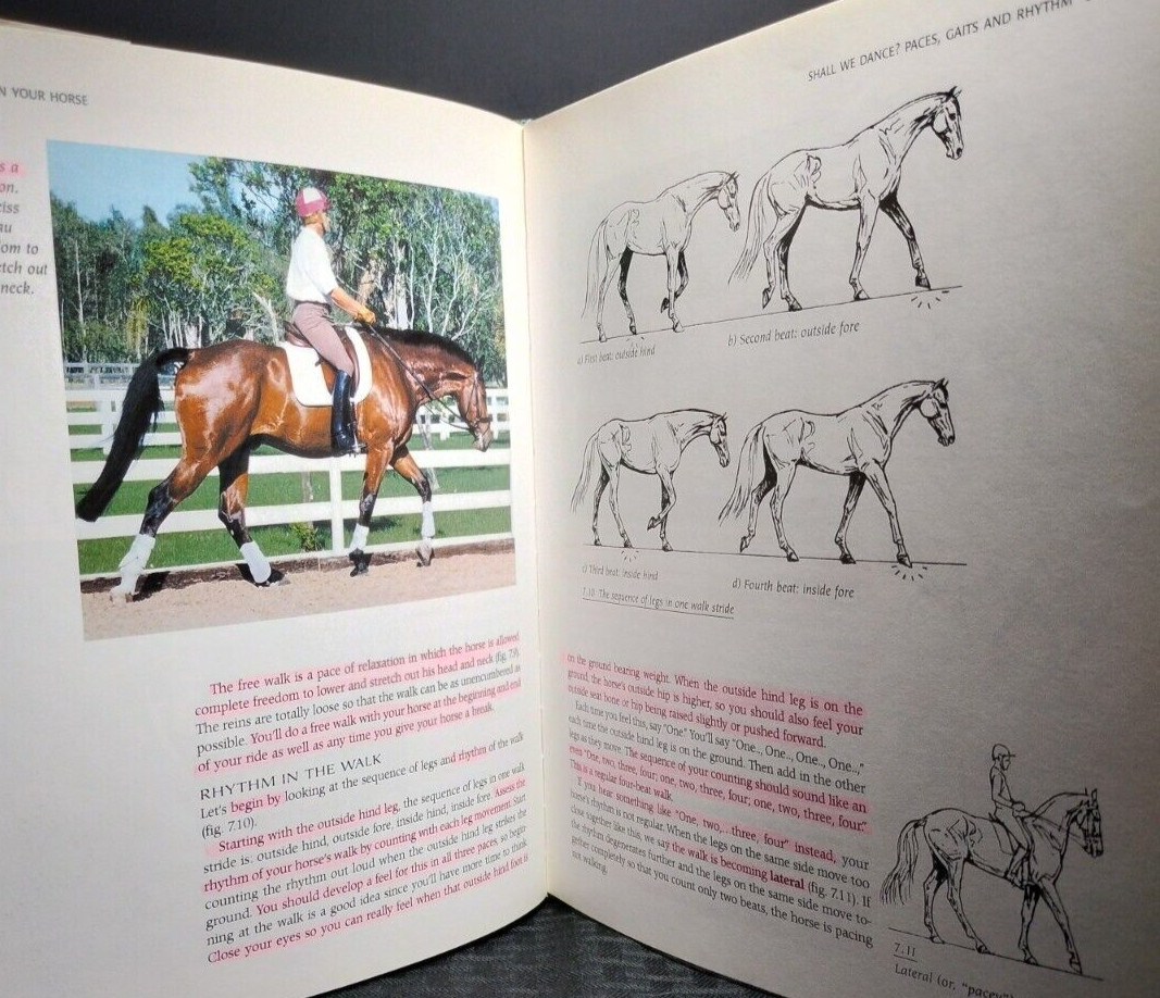 Cross-Train Your Horse Jane Savoie HC 1998 Dressage Training Equestrian