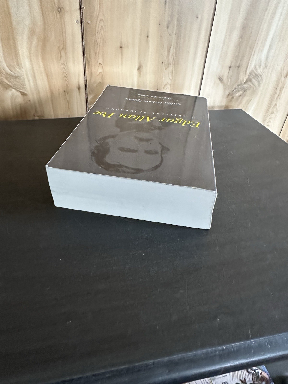 Arthur Hobson Quinn EDGAR ALLAN POE Paperback 1998 Good Vtg Biography