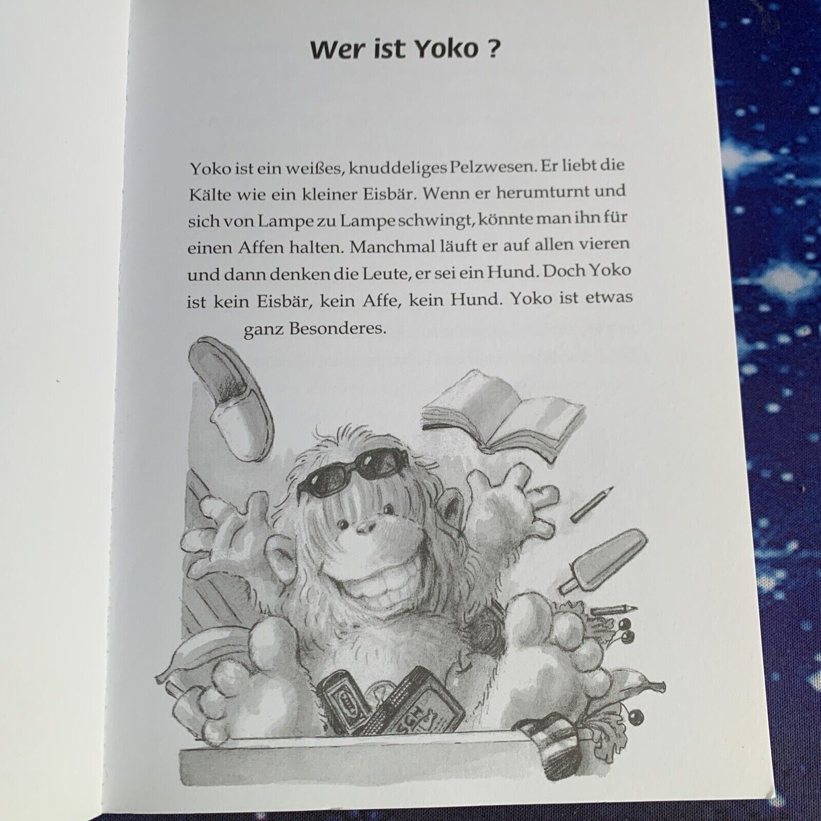 Yoko und die Gruselnacht im Klassenzimmer Band 3 Knister Buch Zustand sehr gut