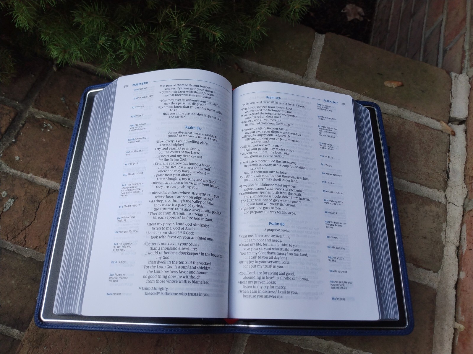 NIV Single Column Ref Wide Margin Personal Bible -$229.99 Retail Blue Goatskin