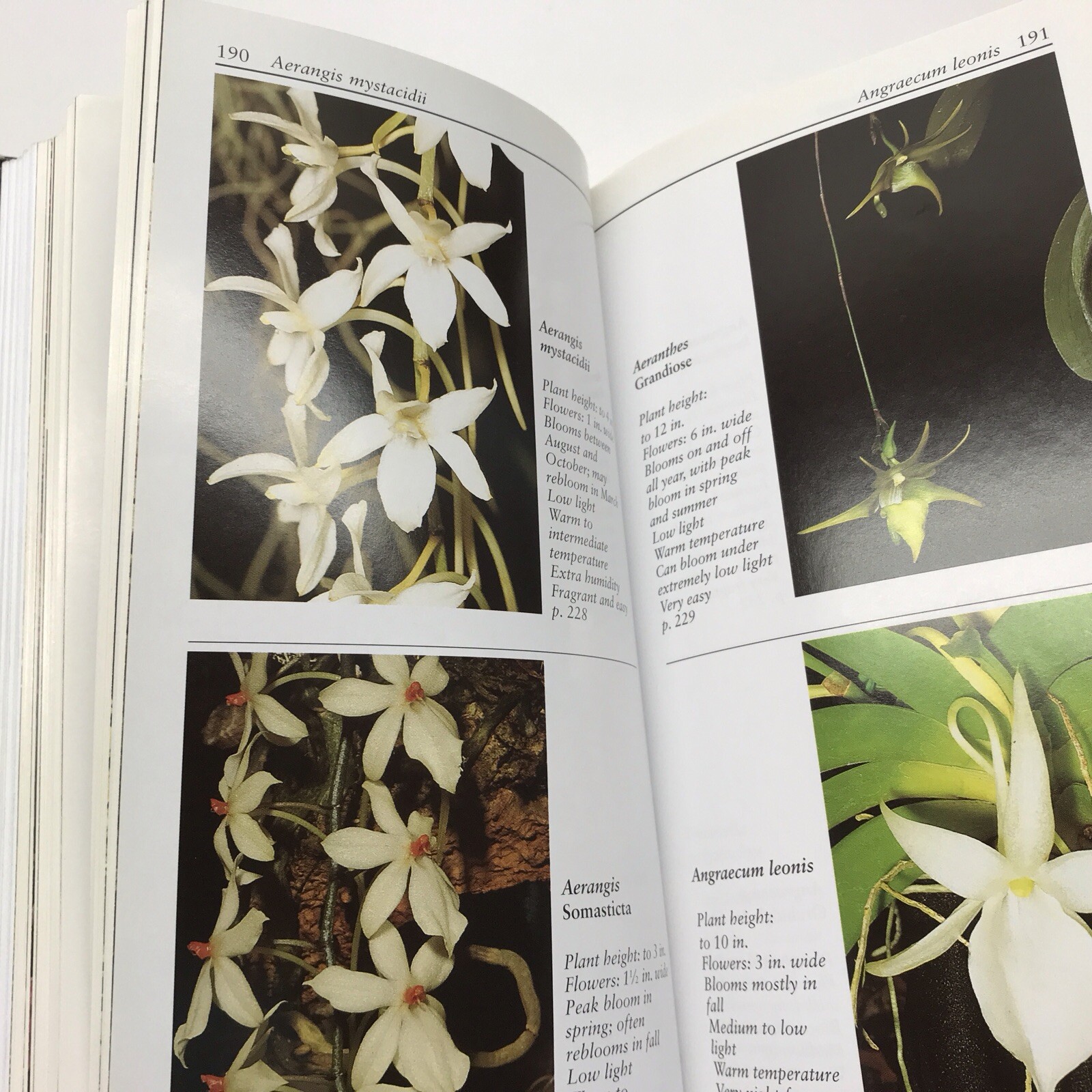 Taylor’s Guide to Orchids~1996~Judy White~Ex Library