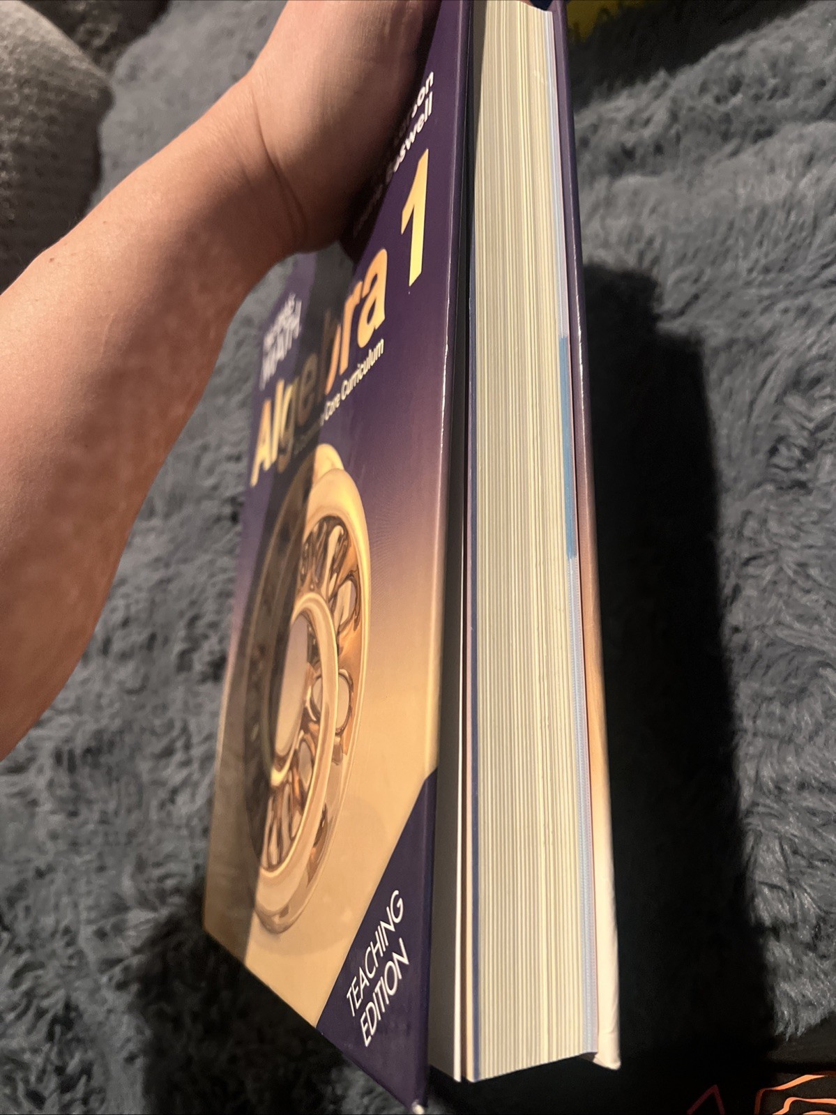 Big Ideas Math: A Common Core – Hardcover, by Ron Larson; Laurie – B-386