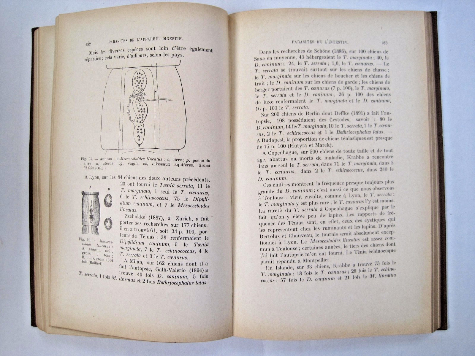 Parasites et Maladies Parasitaires du Chien et du Chat