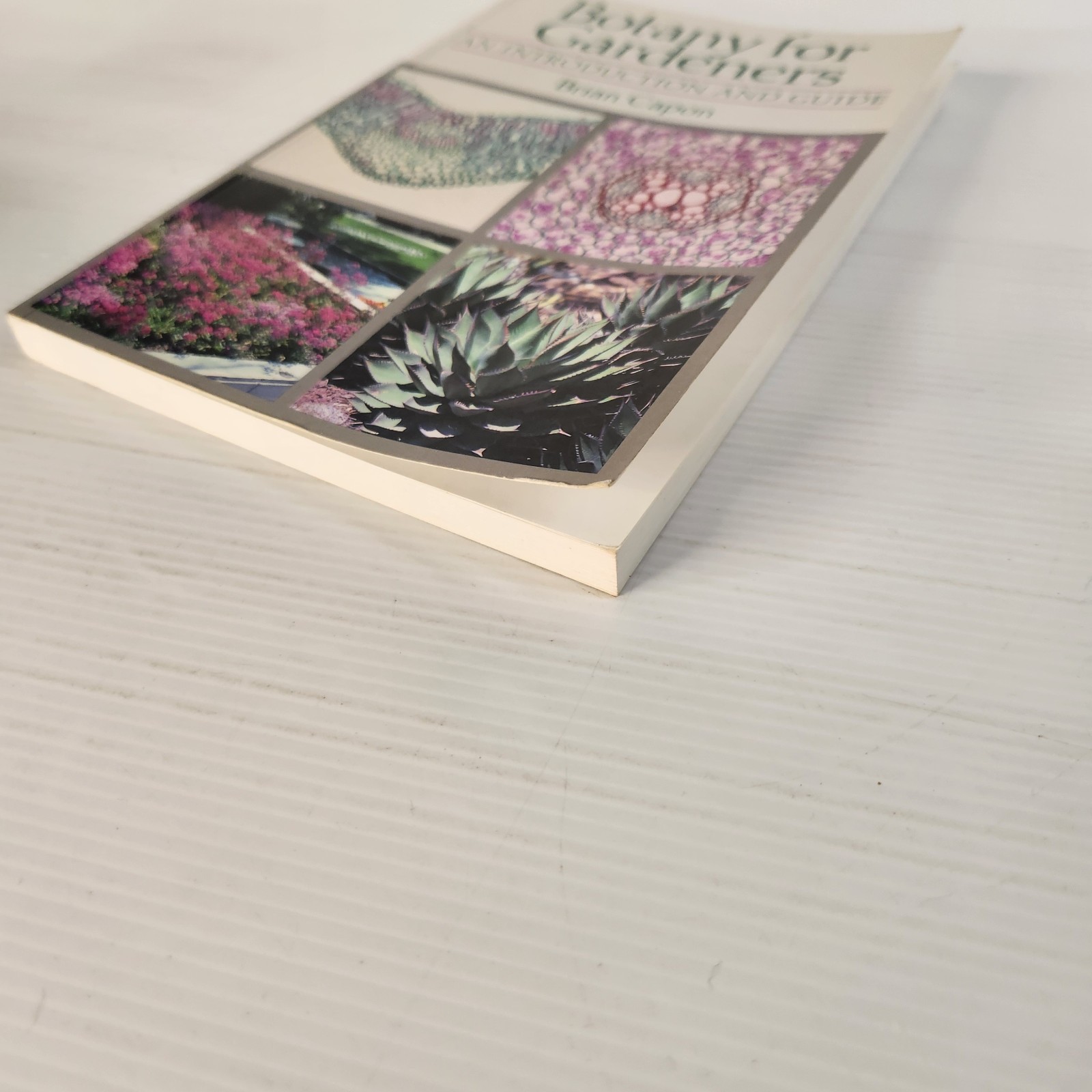 Botany for Gardeners by Brian Capon Paperback