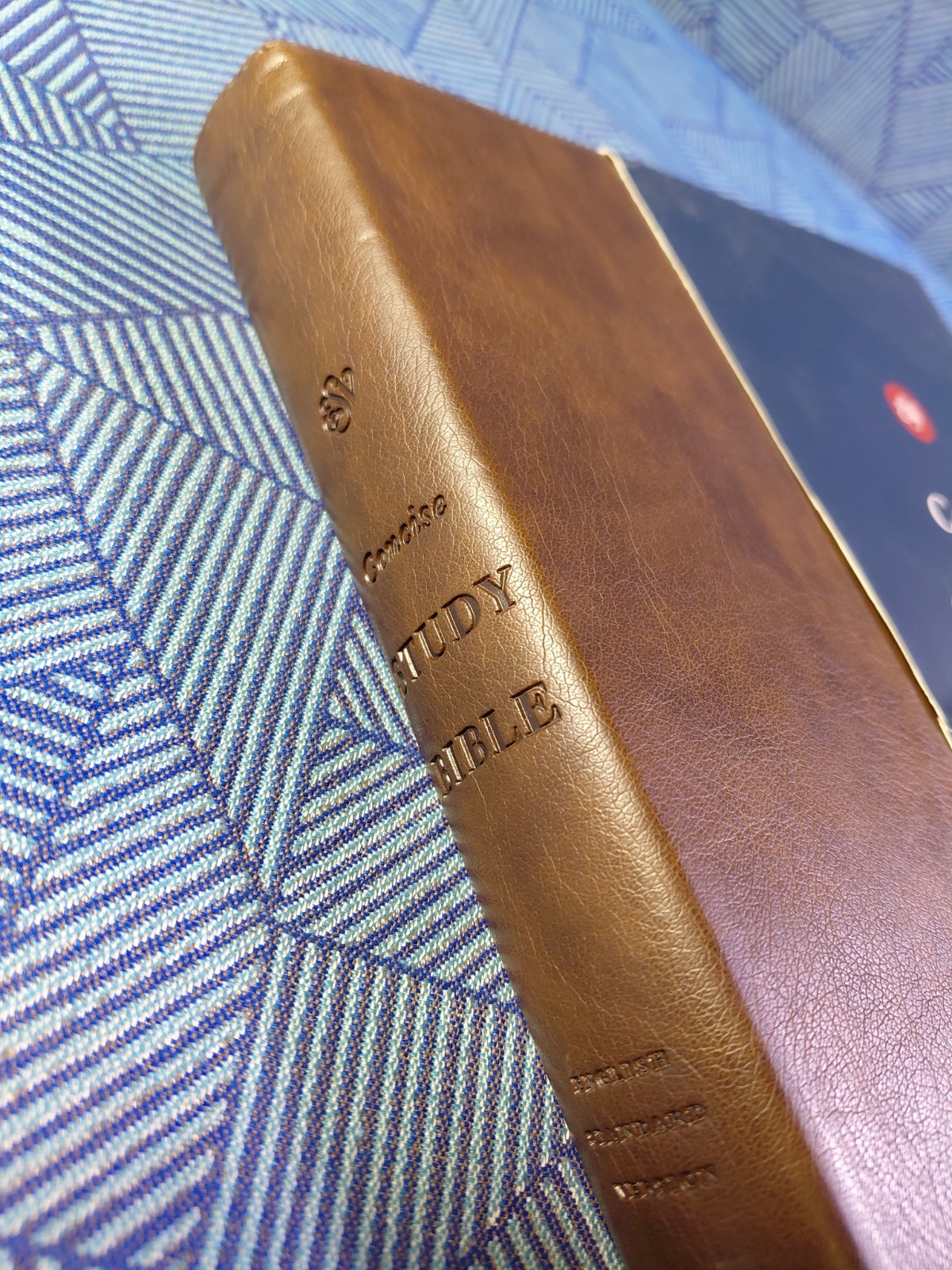 ESV Concise Study Bible (TruTone, Brown): Holy Bible, English Standard Versi…