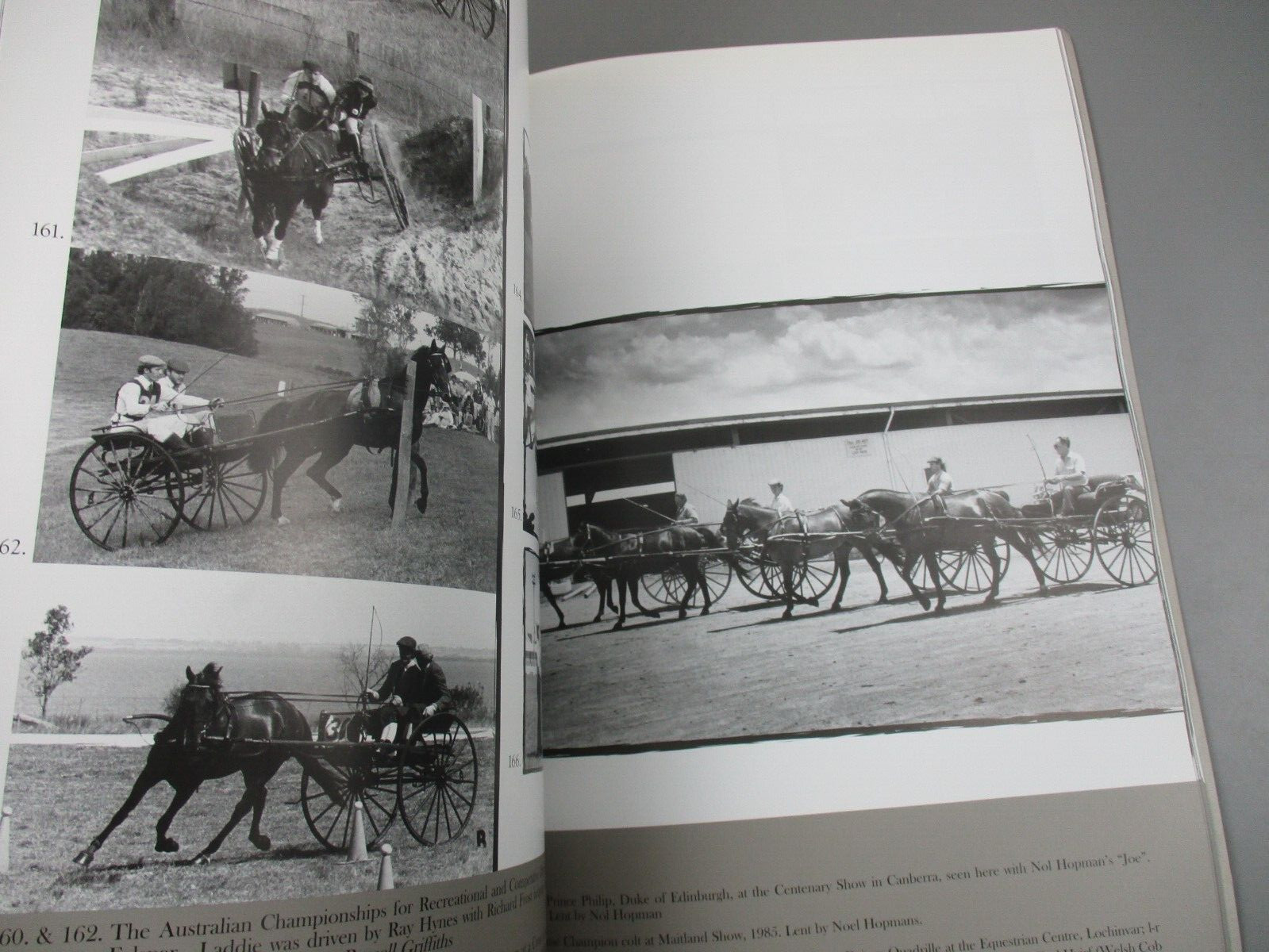 Horses In The Hunter 1820-2005 River Valley NSW Signed Judy White Hardcover