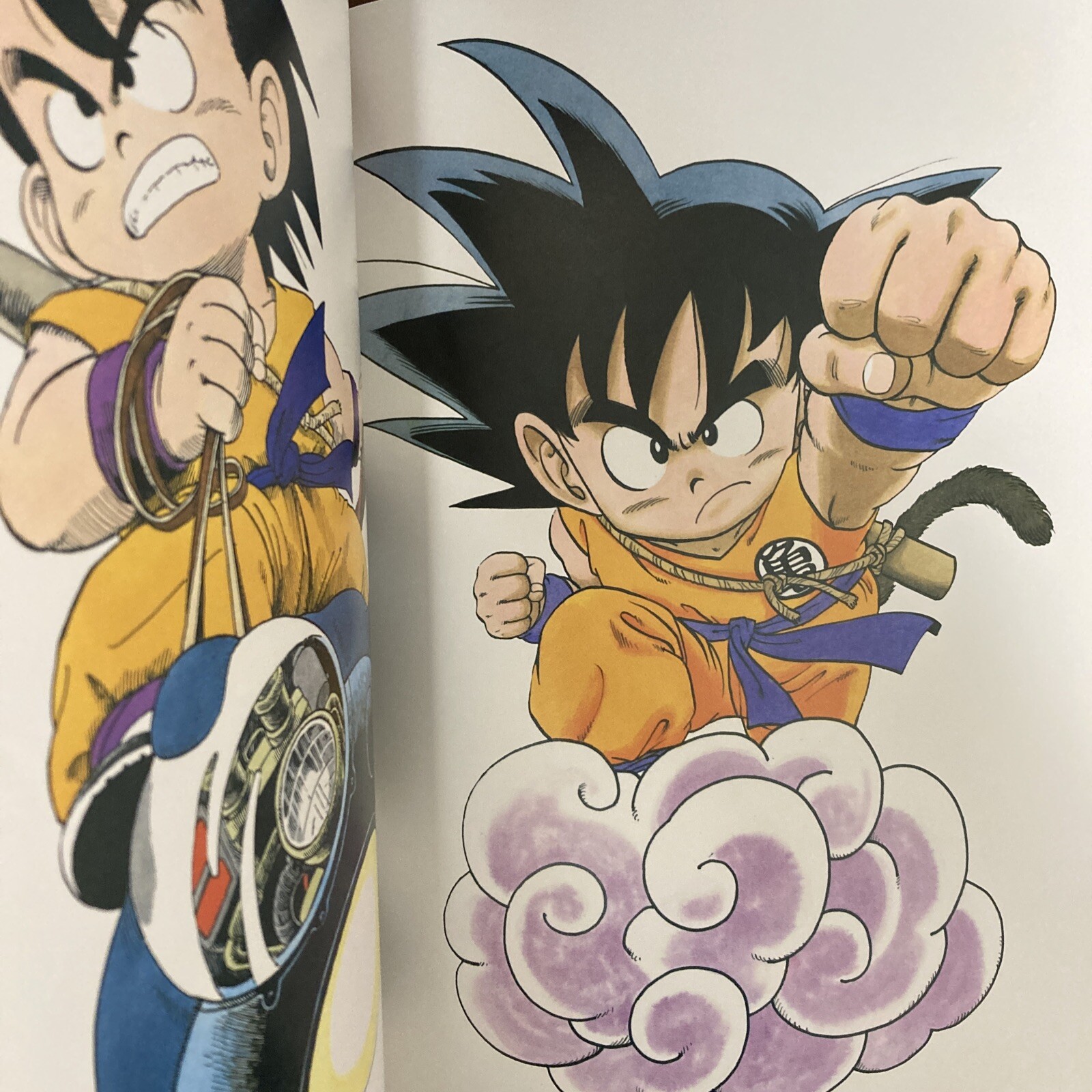 Akira Toriyama THE WORLD SPECIAL Art Book Illustration