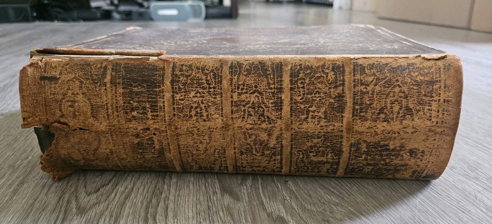 1867 Holy Bible Old & New Testaments Translated From Original Tongues | Leather