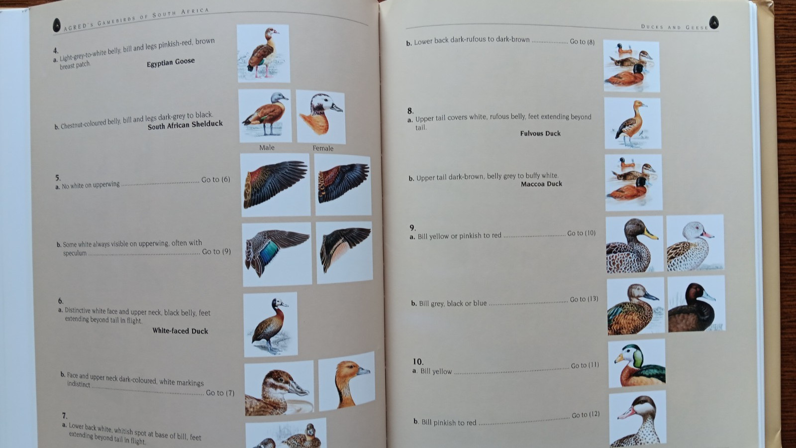 AGRED’s Gamebirds of South Africa : Field Identification and Management