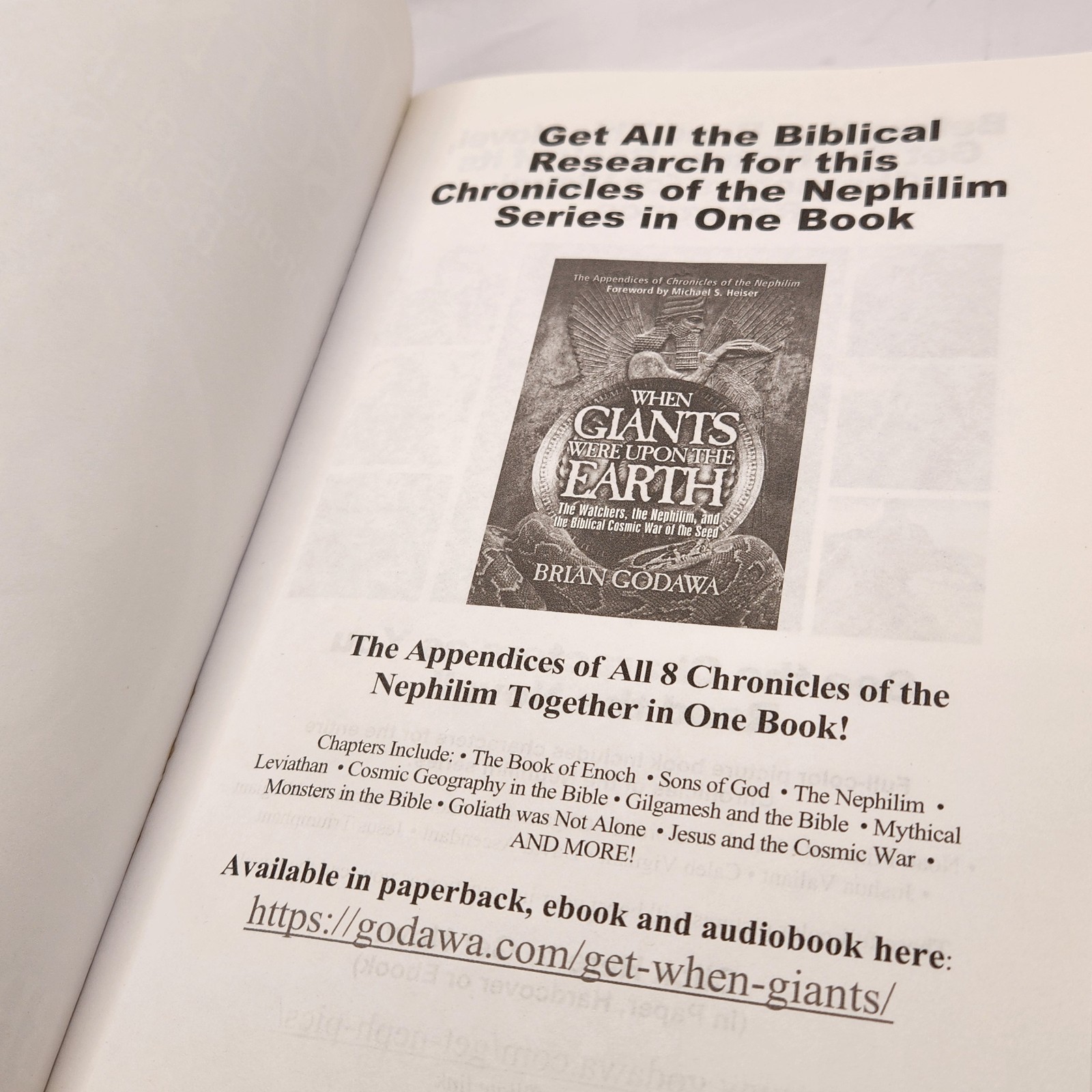David Ascendant Chronicles of the Nephilim Book Seven Godawa, Brian