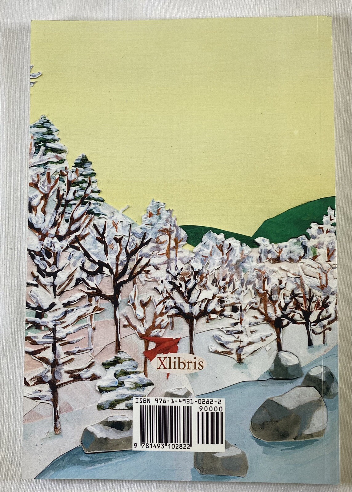 We Learn To Swim In Winter Paul Lacey
