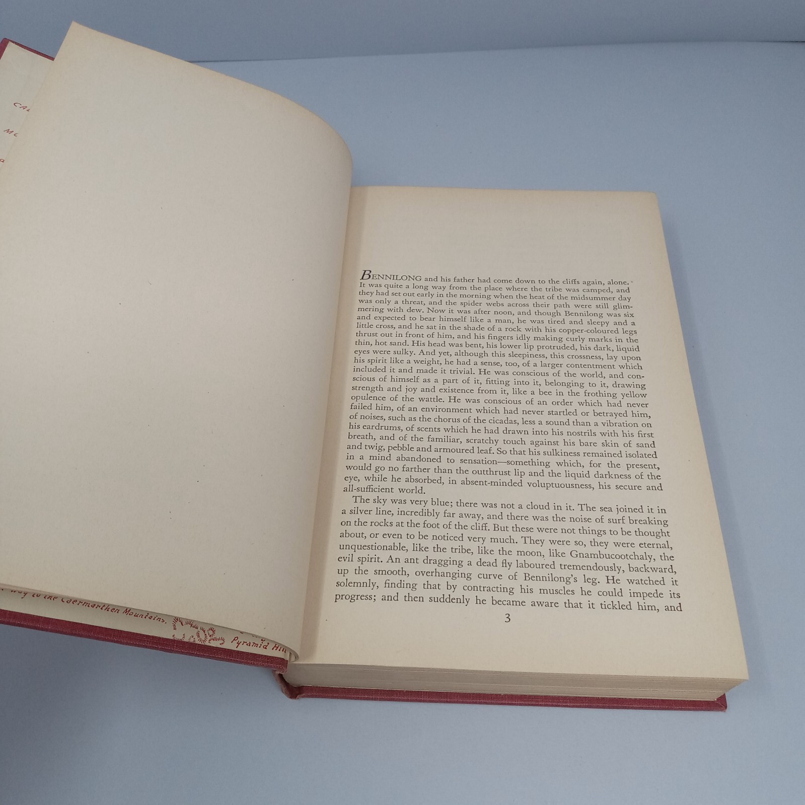The Timeless Land: 1941 The Macmillan Company Hardcover by Eleanor Dark
