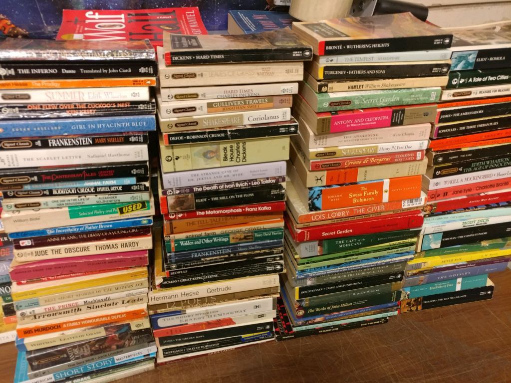 Books by Genre 10 LBS~Pounds Lot Sorted Fiction/Nonfiction CHOOSE YOUR CATEGORY
